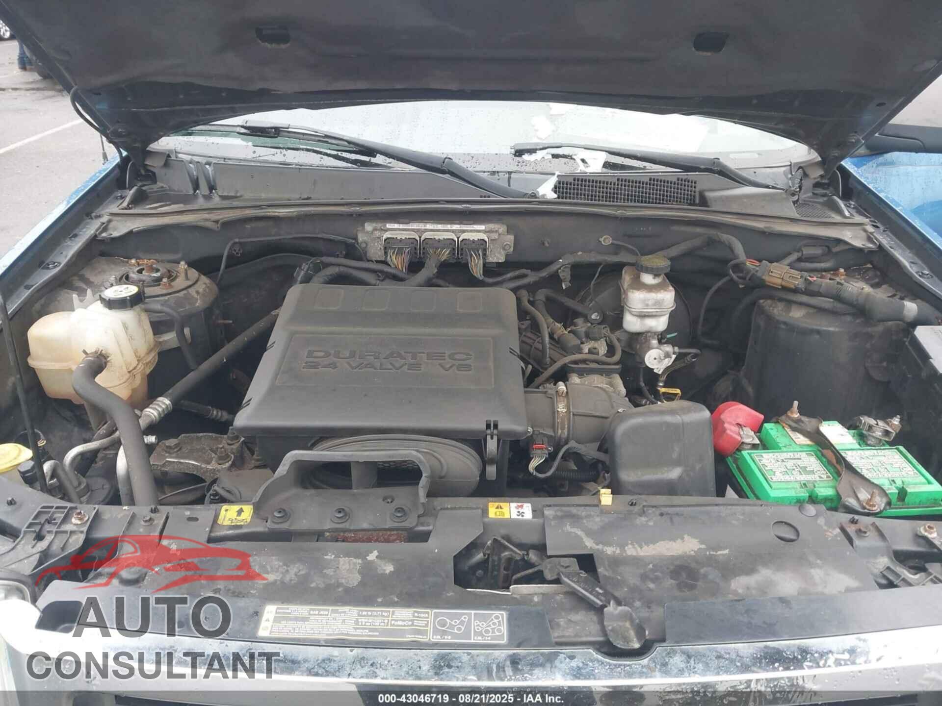 FORD ESCAPE 2011 - 1FMCU0DG7BKC01535