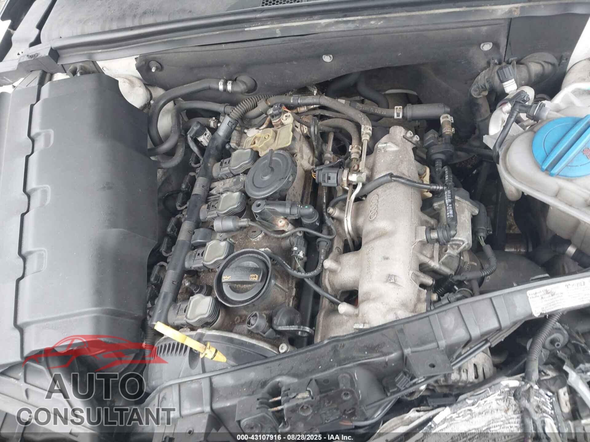AUDI A4 2013 - WAUBFAFLXDN015626