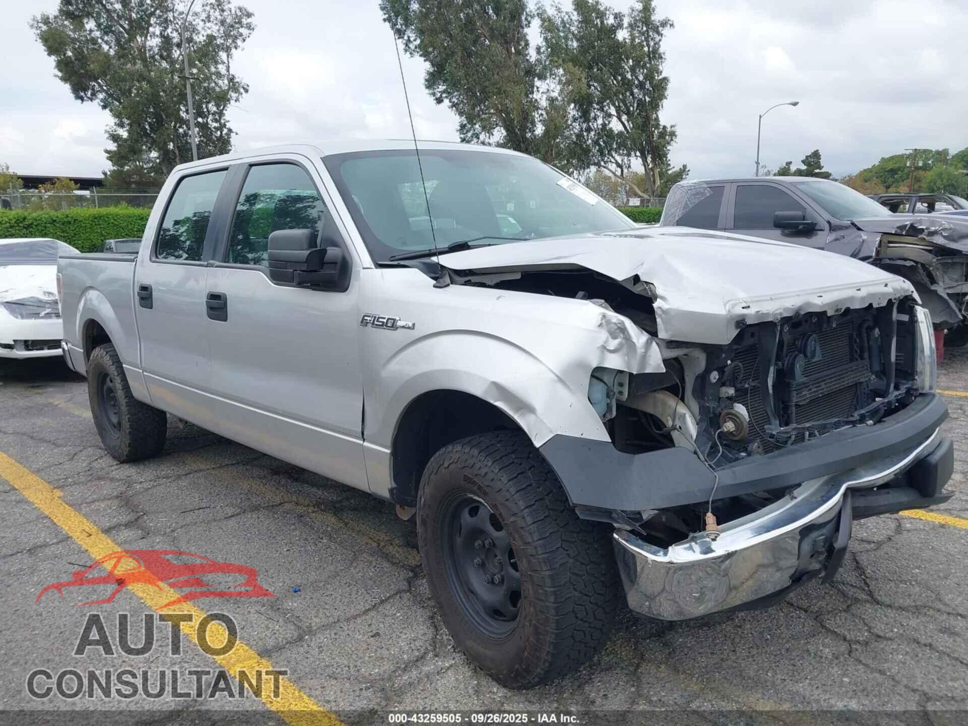 FORD F-150 2013 - 1FTFW1CF4DFB03410