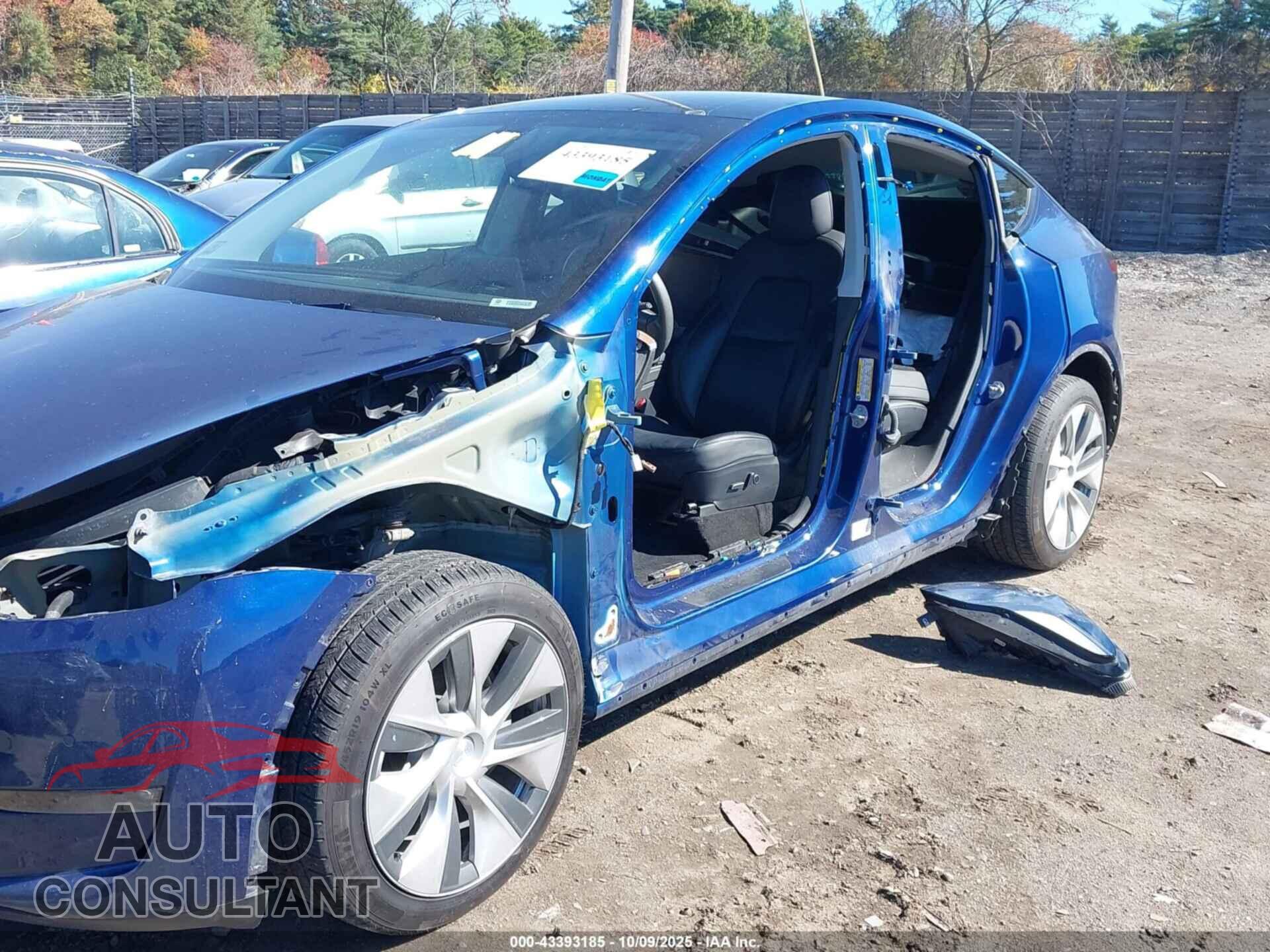 TESLA MODEL Y 2022 - 7SAYGDEEXNF307424