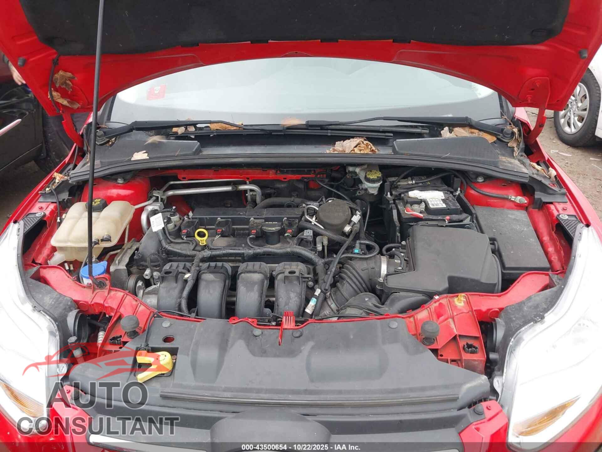 FORD FOCUS 2012 - 1FAHP3K20CL446866