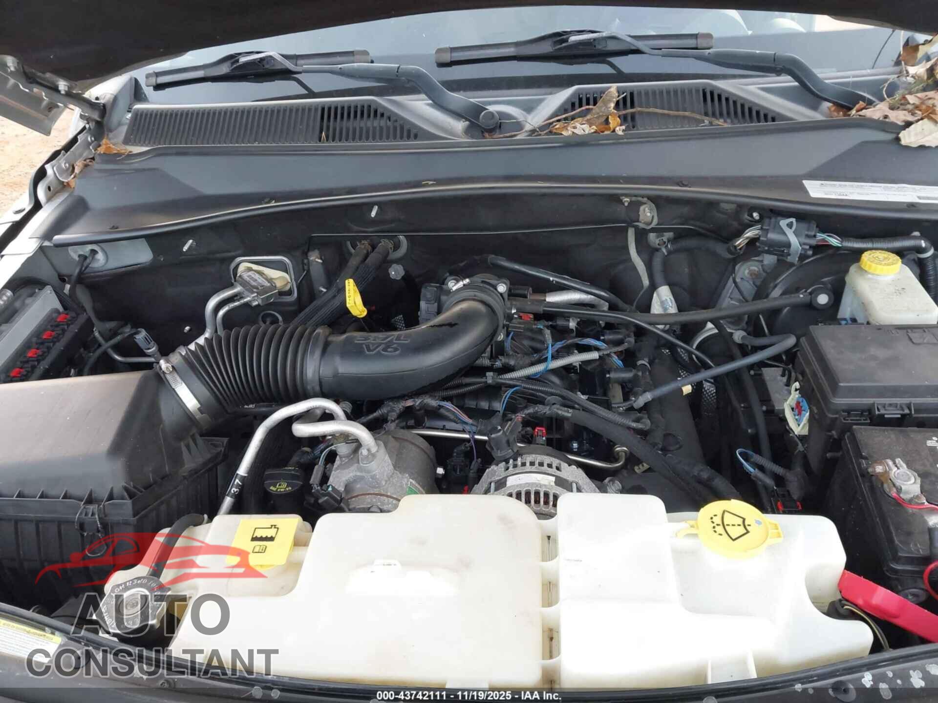 DODGE NITRO 2011 - 1D4PU4GK6BW509174