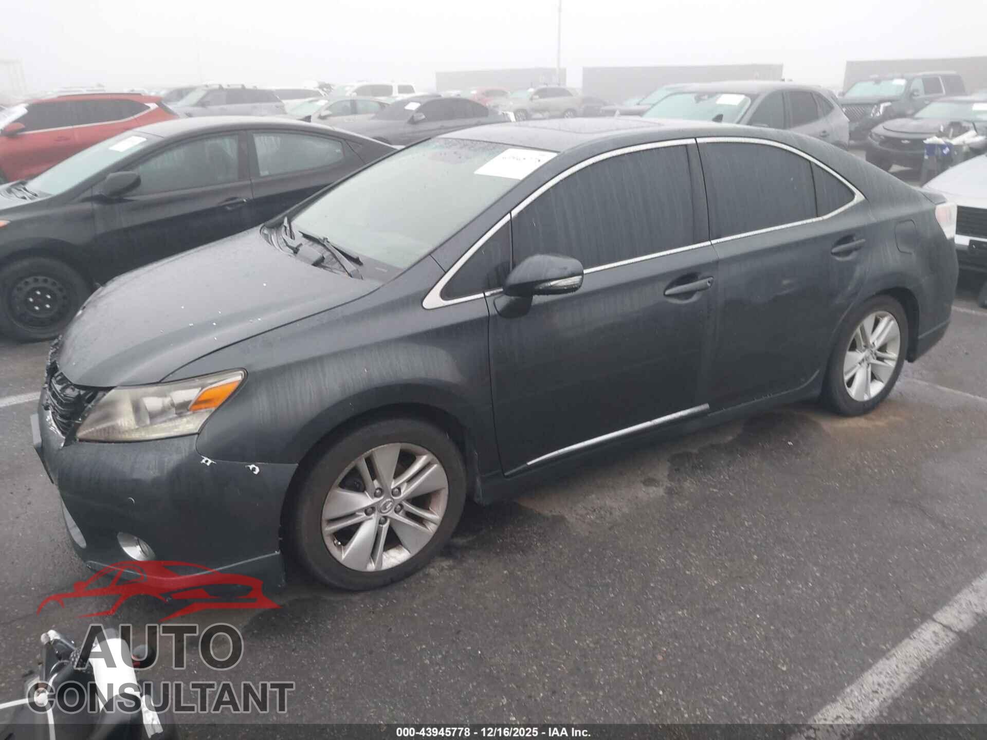 LEXUS HS 250H 2010 - JTHBB1BA5A2035944