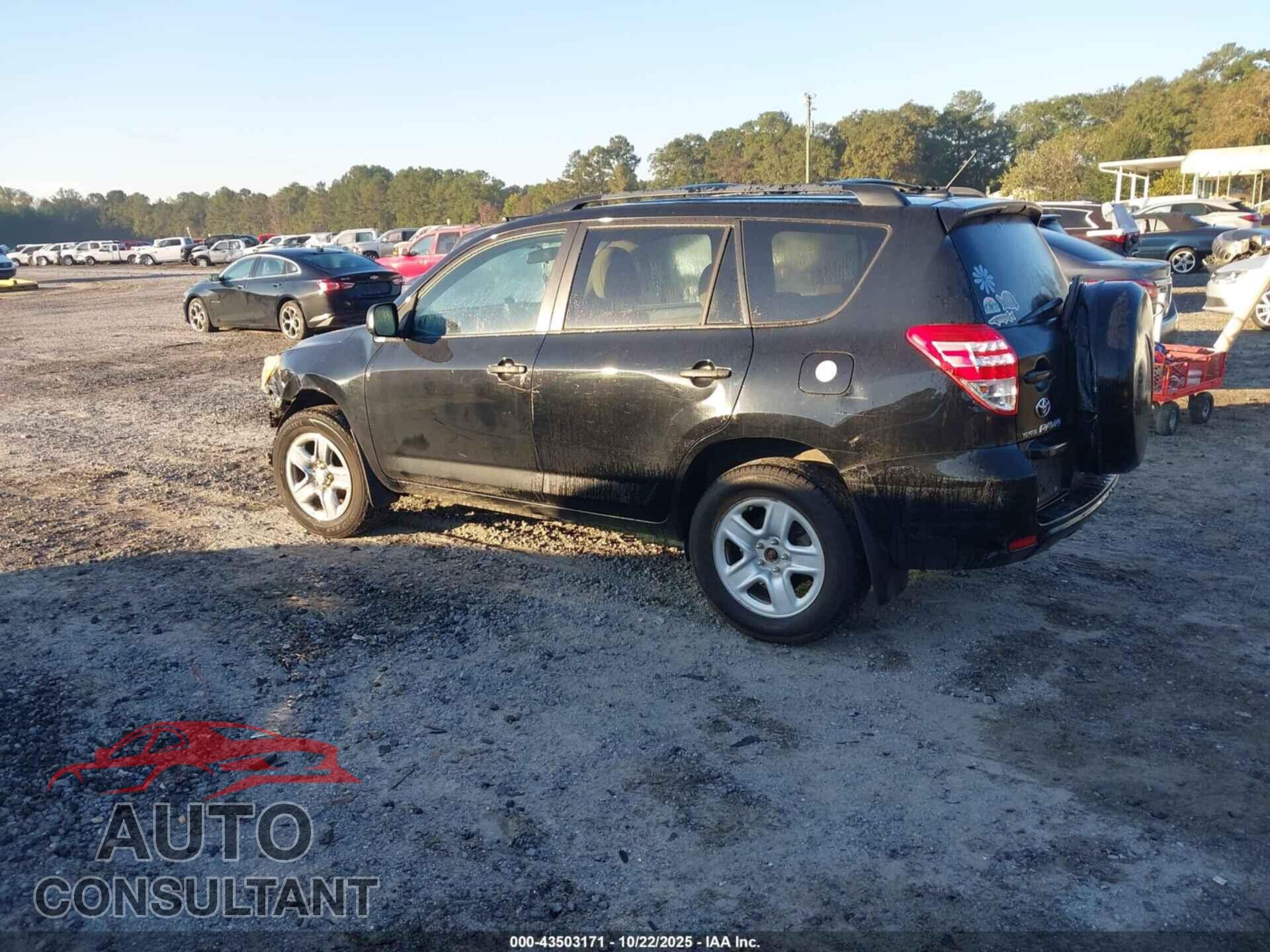 TOYOTA RAV4 2010 - 2T3BF4DVXAW071983