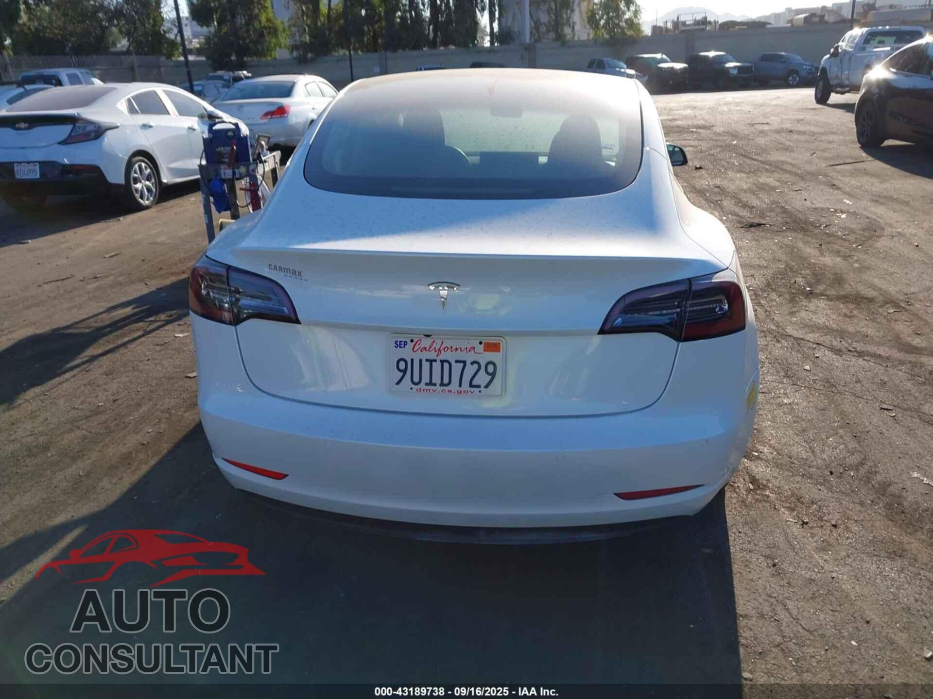TESLA MODEL 3 2021 - 5YJ3E1EA2MF066370