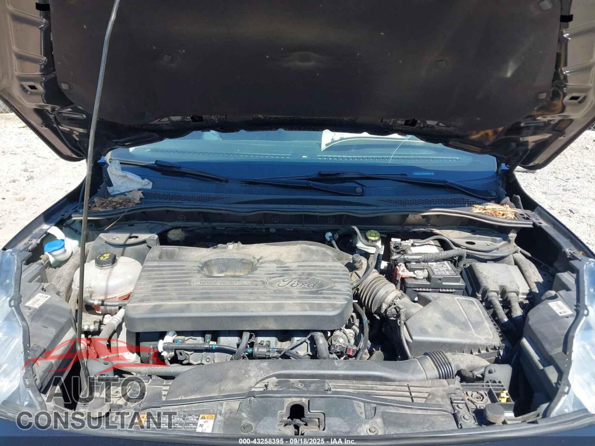 FORD ESCAPE 2020 - 1FMCU9J93LUA45364