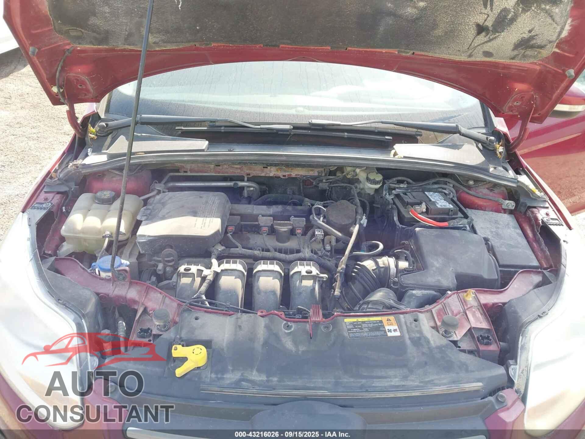 FORD FOCUS 2014 - 1FADP3F2XEL249456