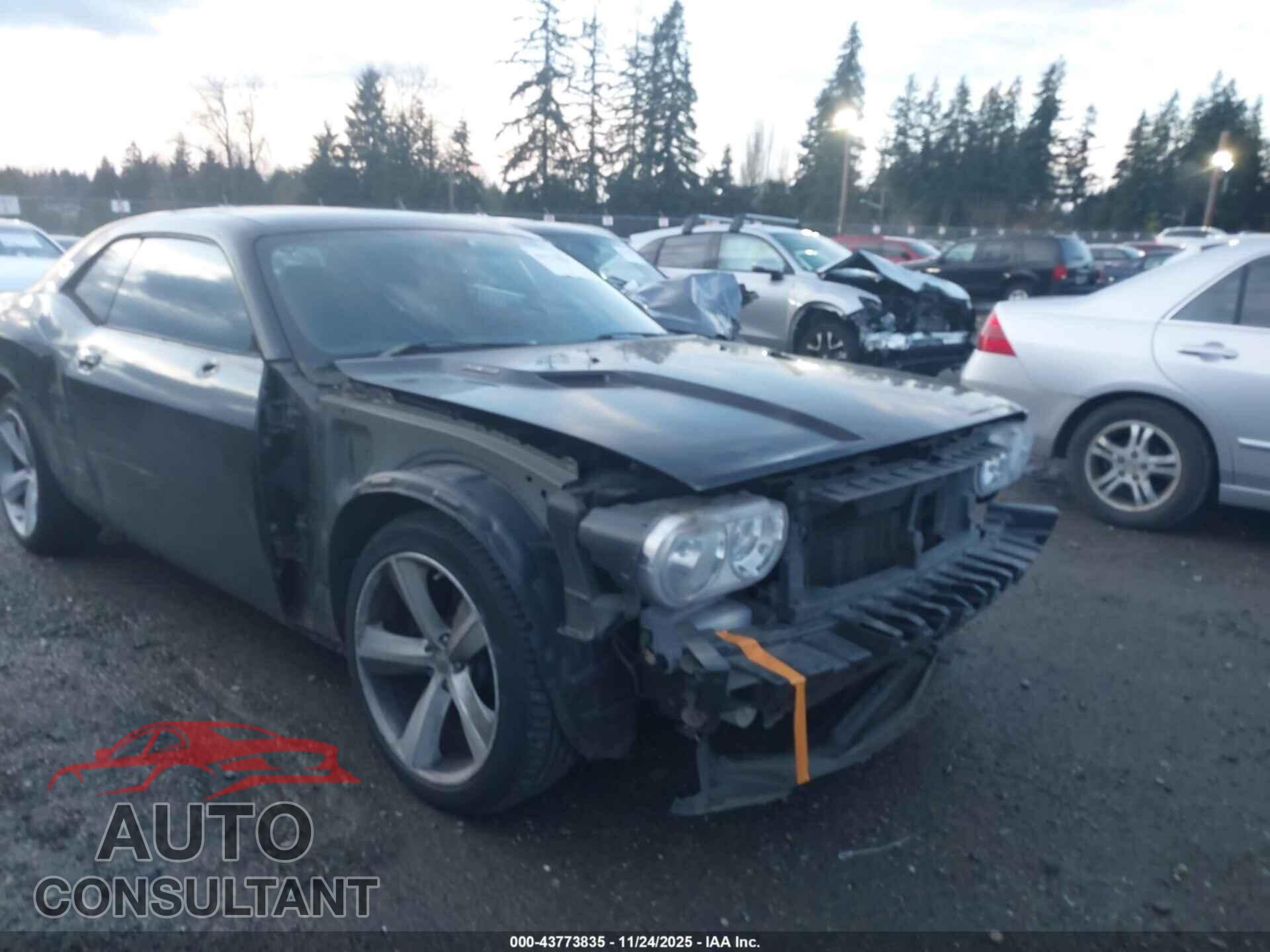 DODGE CHALLENGER 2013 - 2C3CDYBT9DH587618
