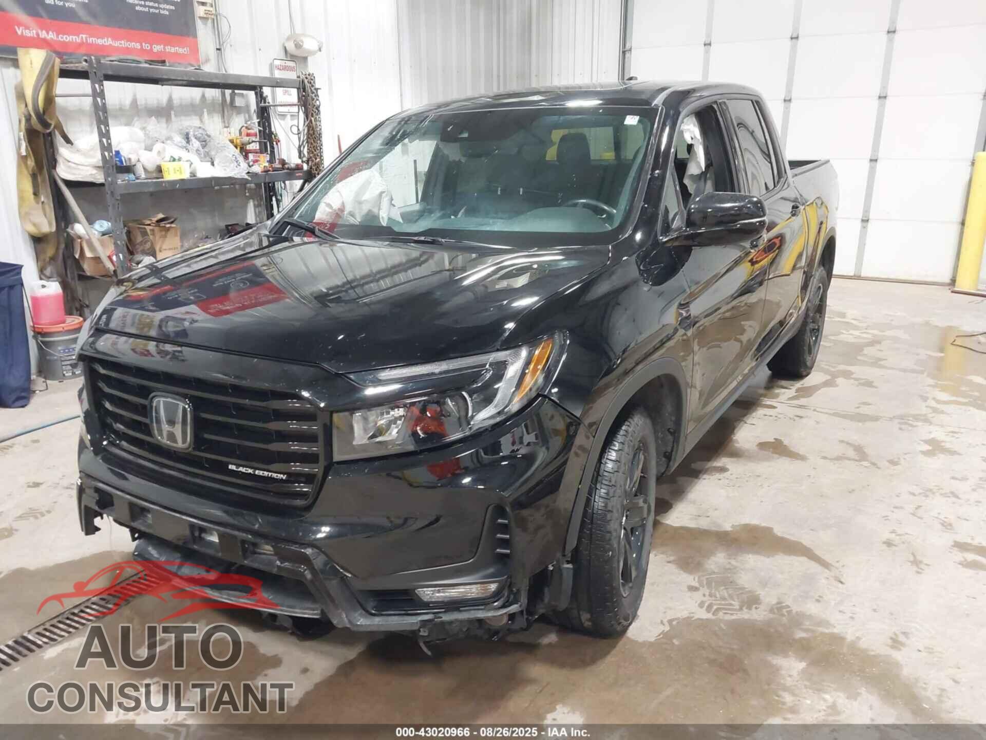 HONDA RIDGELINE 2023 - 5FPYK3F85PB059284