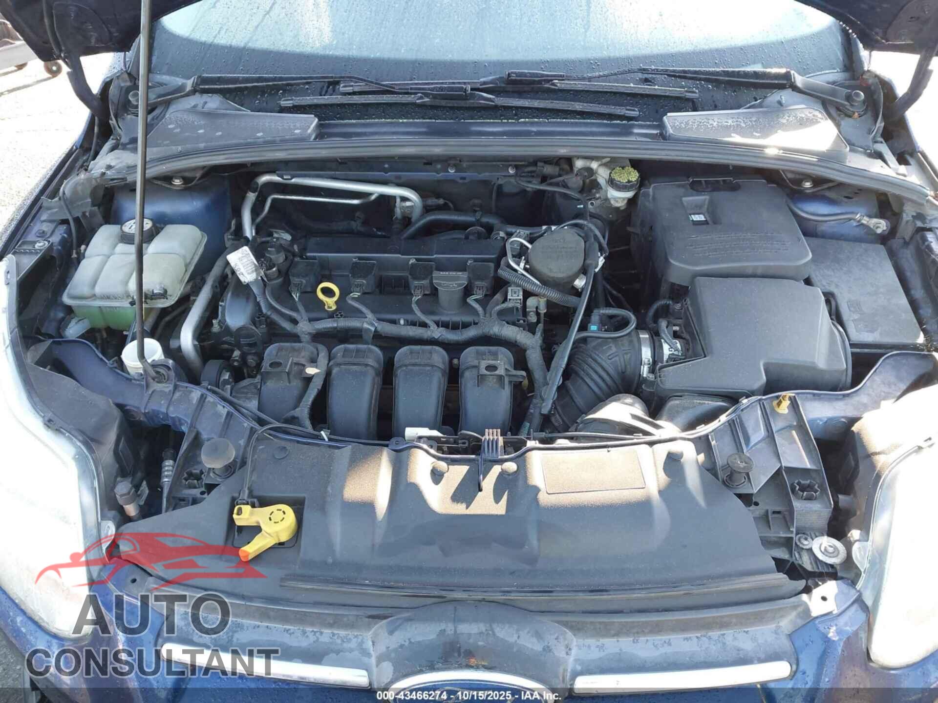 FORD FOCUS 2012 - 1FAHP3K21CL113365