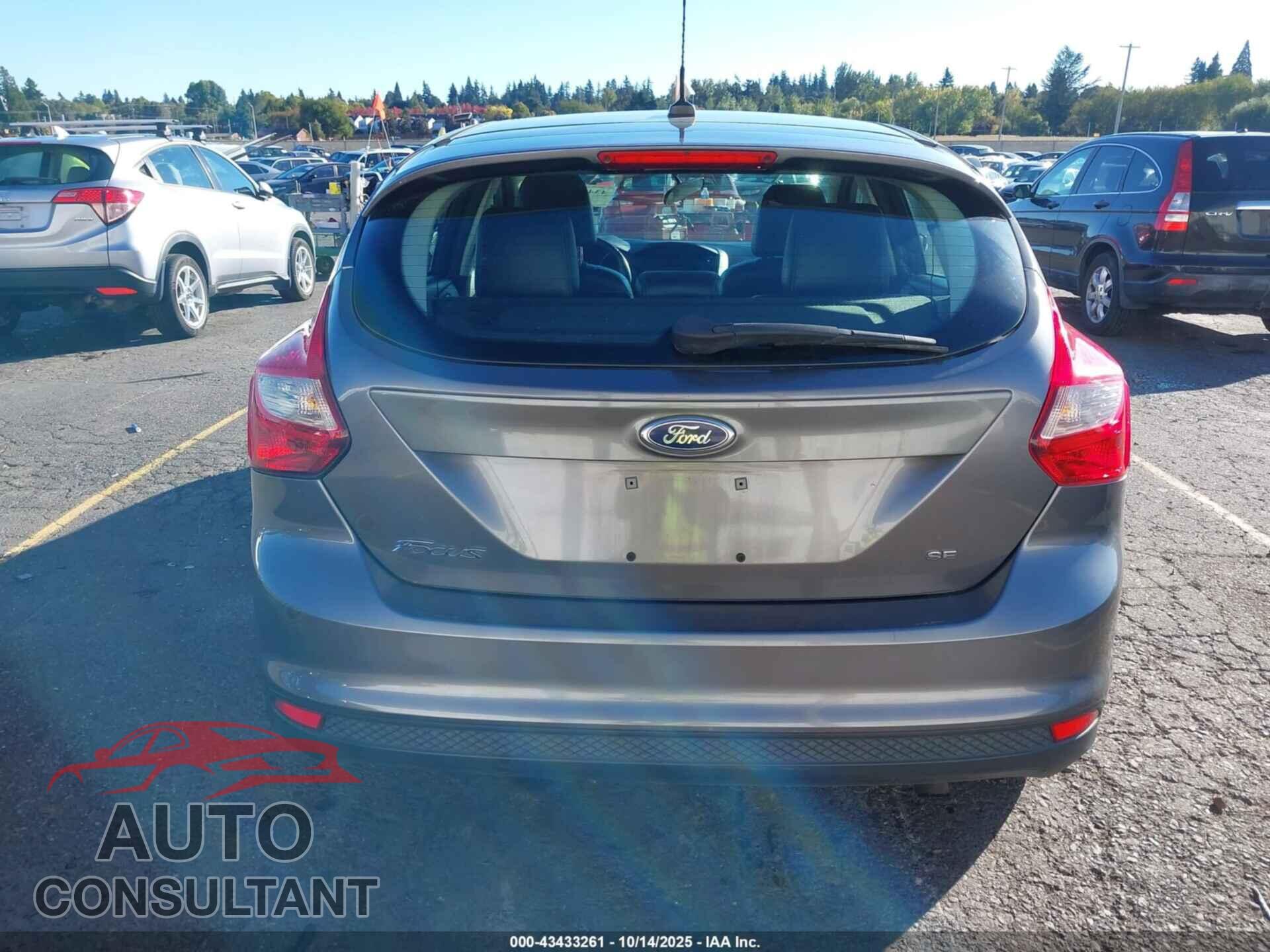 FORD FOCUS 2014 - 1FADP3K24EL463834