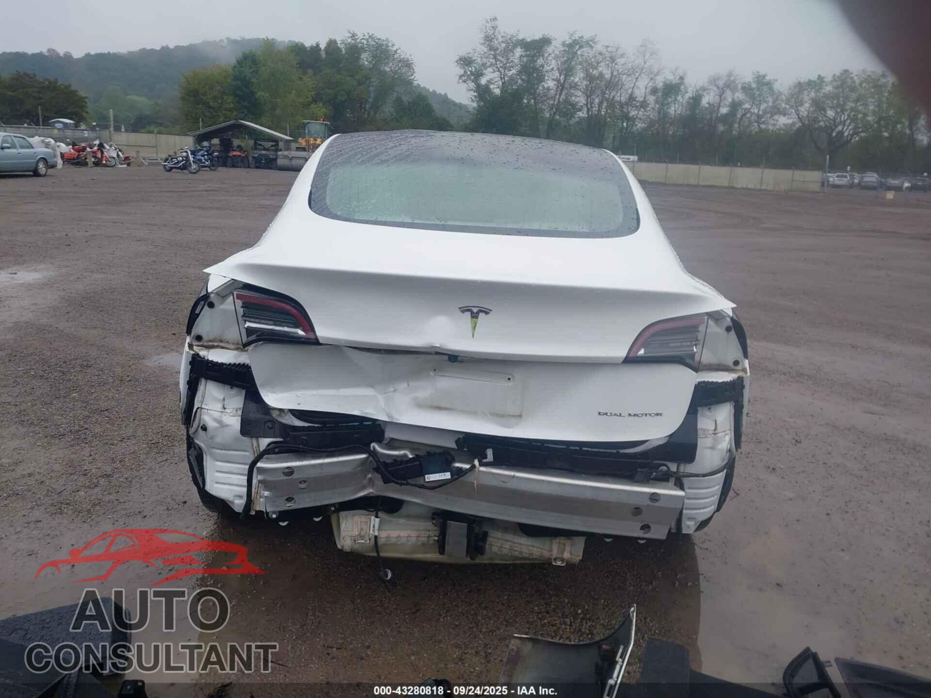 TESLA MODEL 3 2019 - 5YJ3E1EB0KF494508