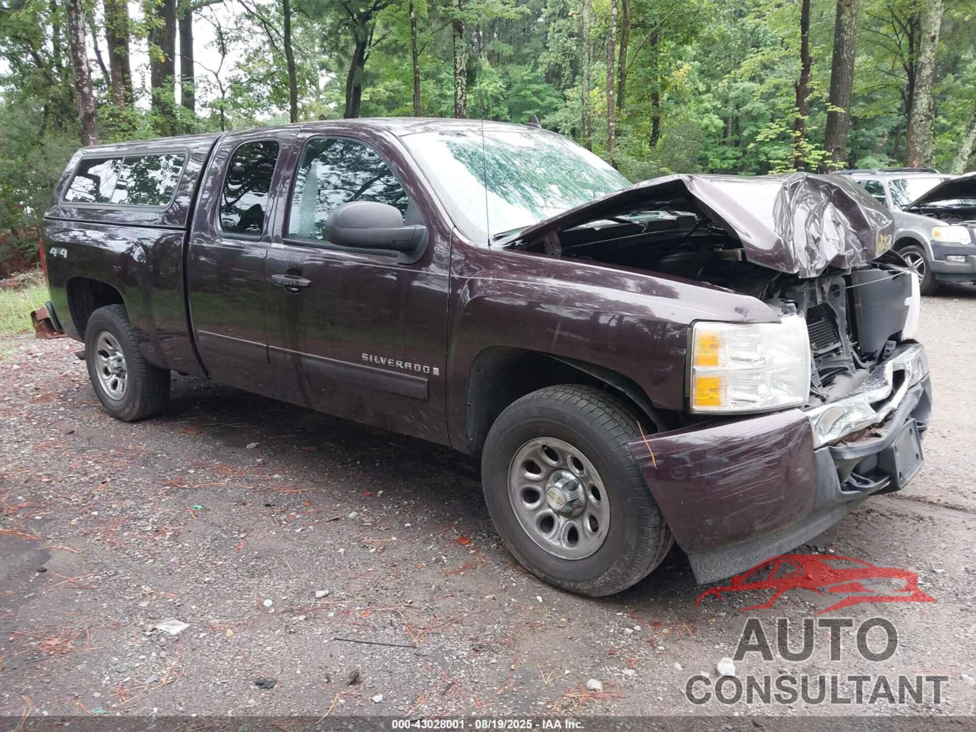 CHEVROLET SILVERADO 1500 2009 - 1GCEK19C99Z194734