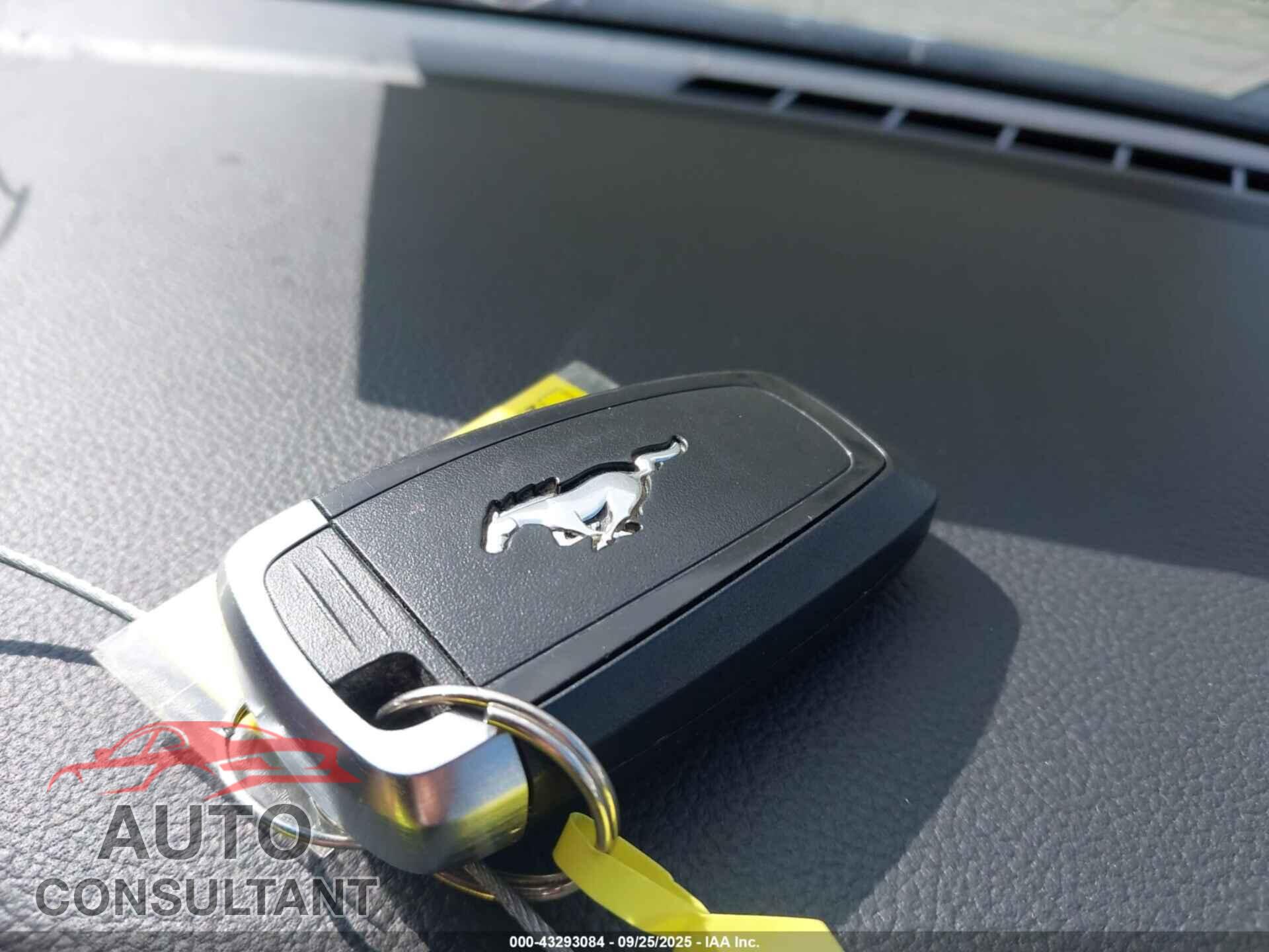 FORD MUSTANG 2019 - 1FA6P8CF1K5185238