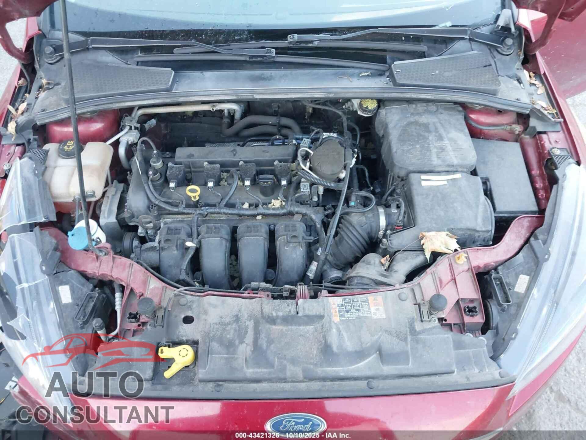 FORD FOCUS 2016 - 1FADP3F20GL205890