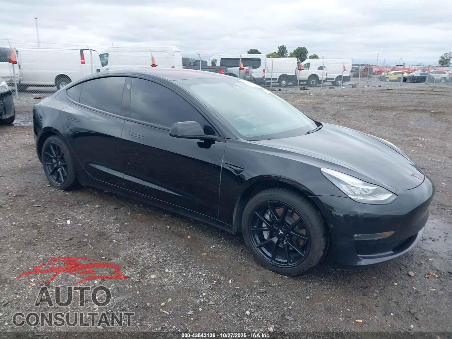 TESLA MODEL 3 2019 - 5YJ3E1EB9KF199097