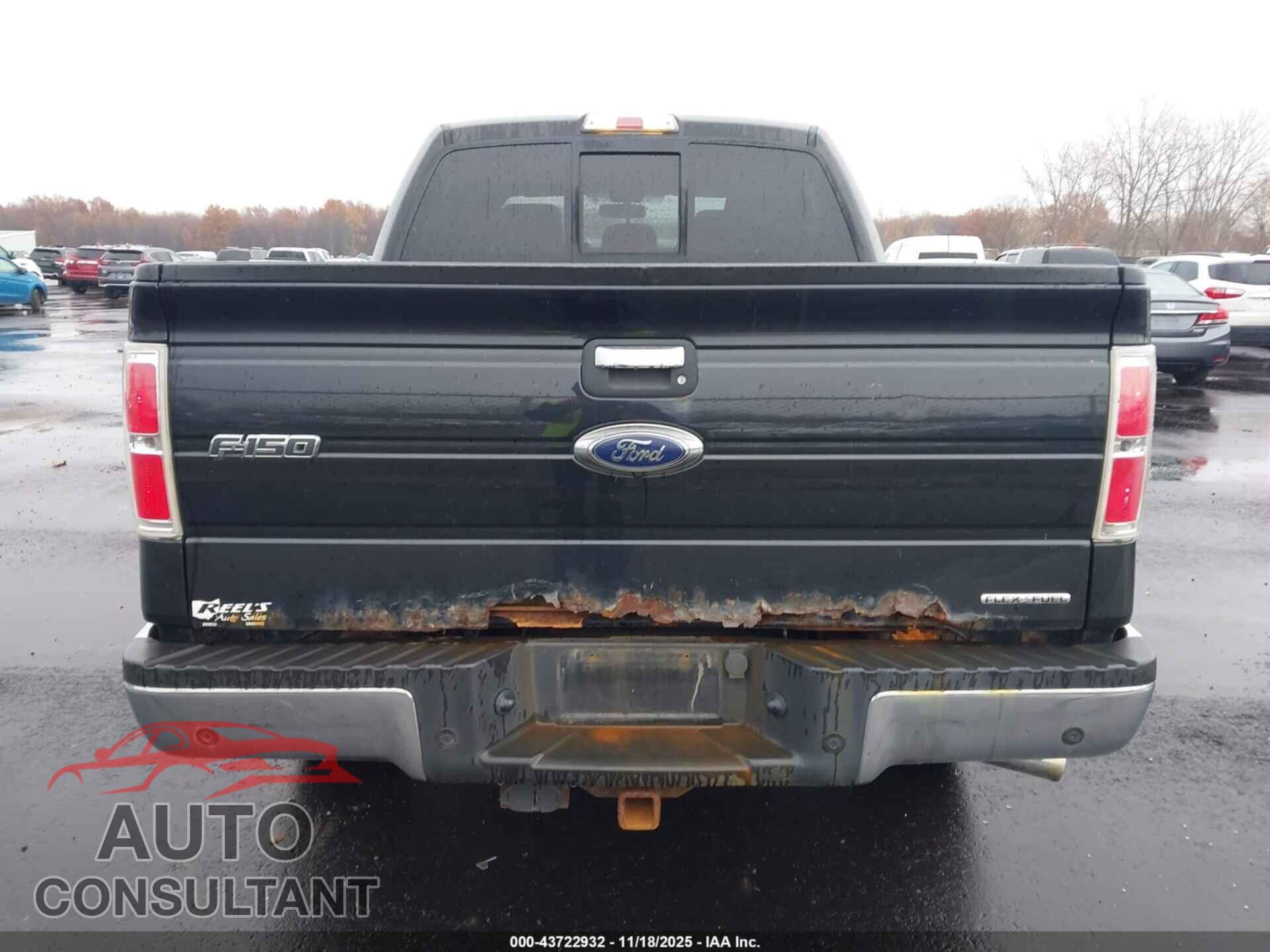 FORD F-150 2013 - 1FTFW1EF5DFD39061