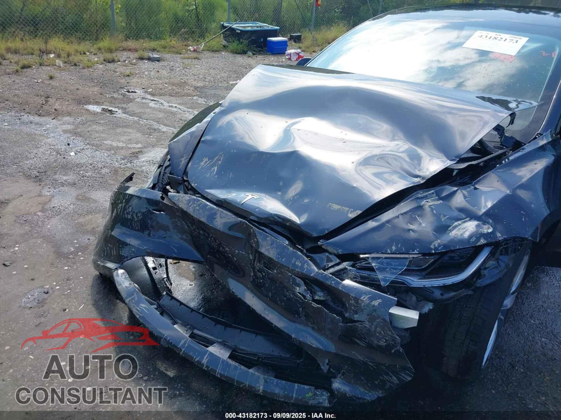 TESLA MODEL 3 2025 - 5YJ3E1EAXSF925329