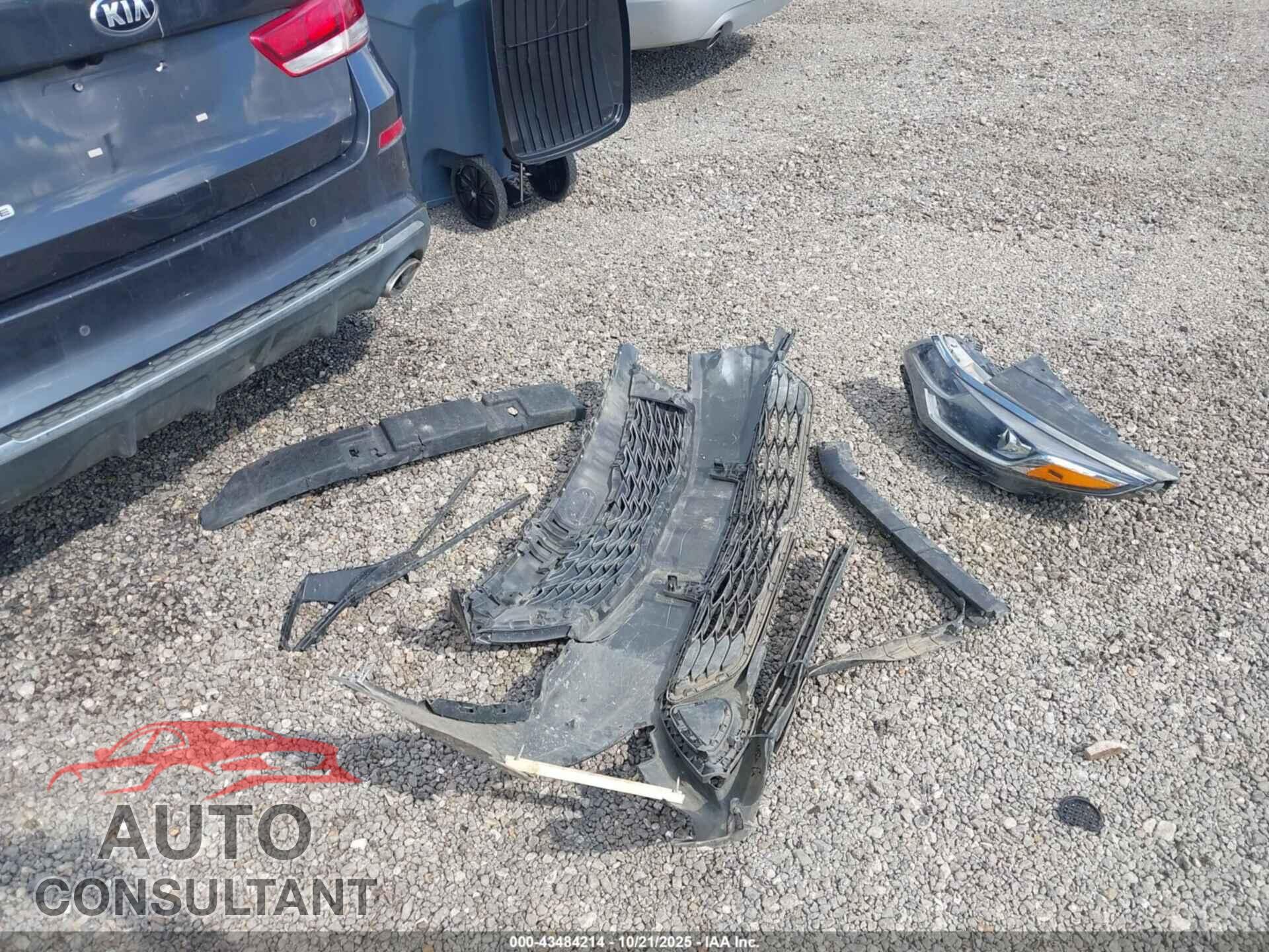 KIA OPTIMA 2019 - 5XXGT4L33KG297799