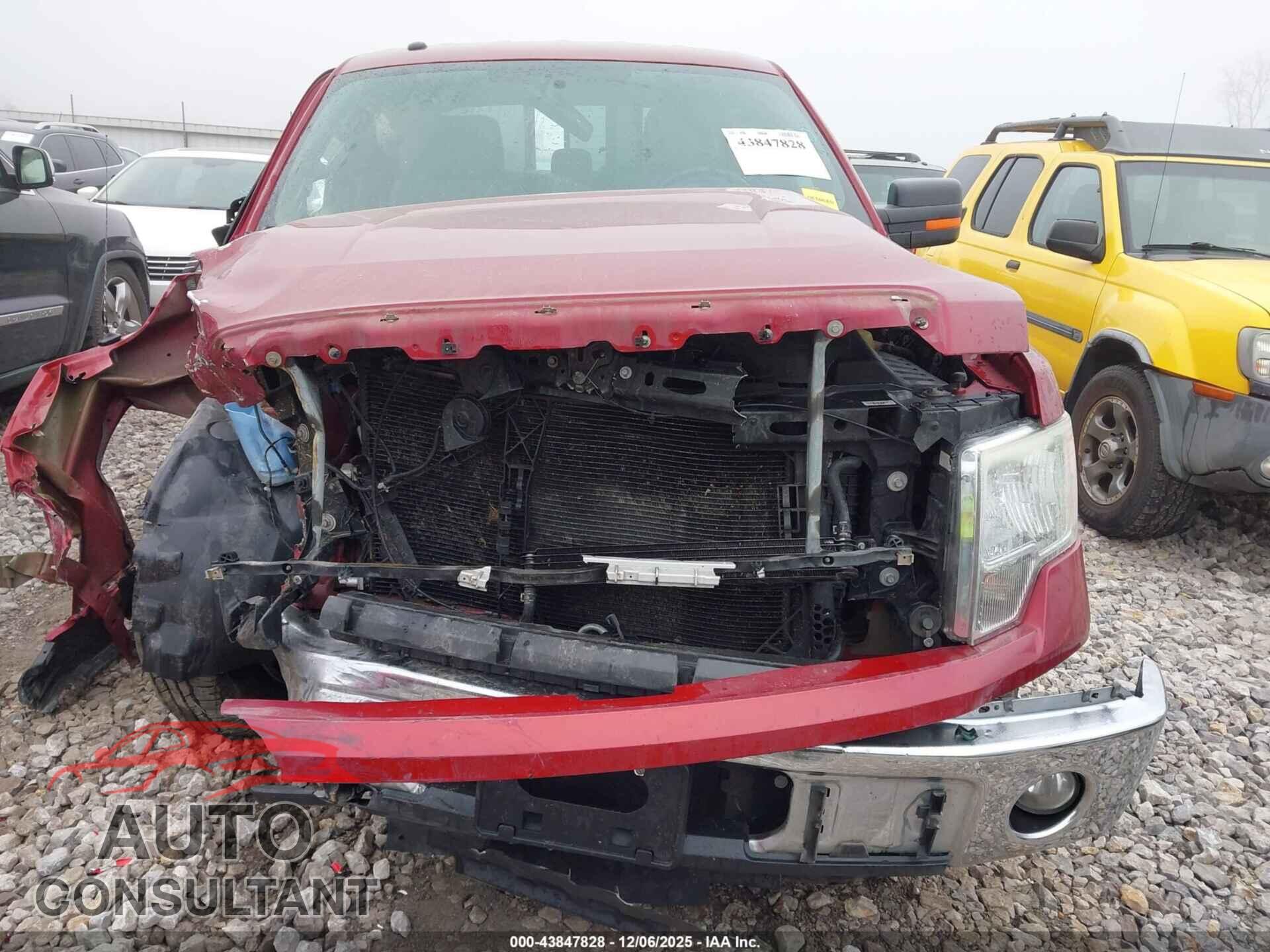 FORD F-150 2013 - 1FTFW1CFXDFC69866