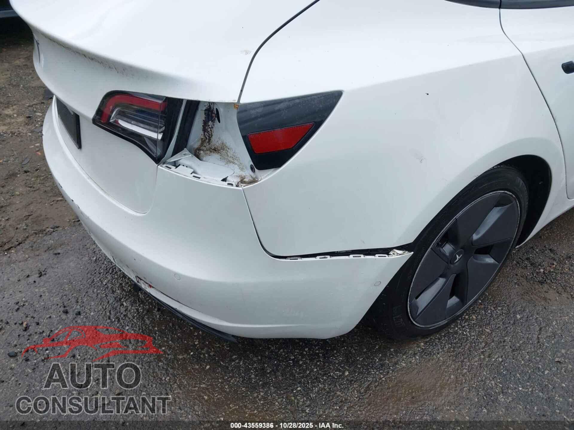 TESLA MODEL 3 2021 - 5YJ3E1EA5MF943143