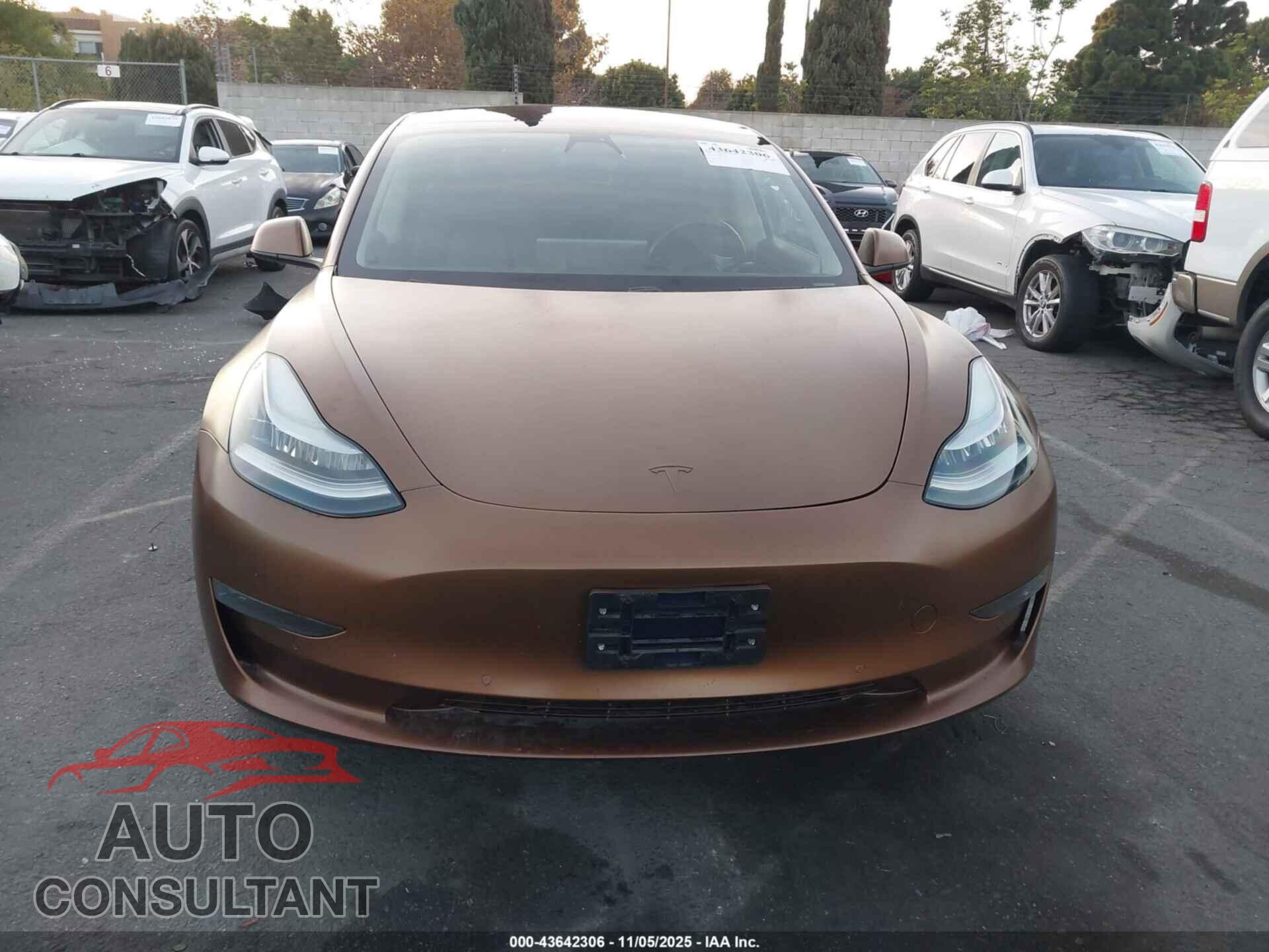 TESLA MODEL 3 2019 - 5YJ3E1EA2KF301203