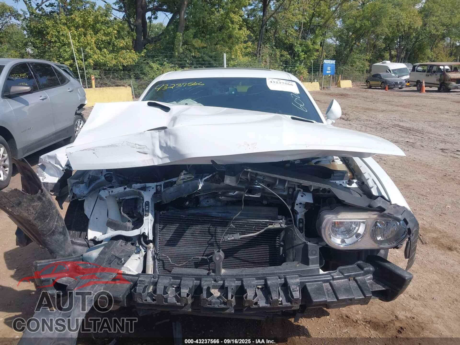 DODGE CHALLENGER 2013 - 2C3CDYBT8DH535302