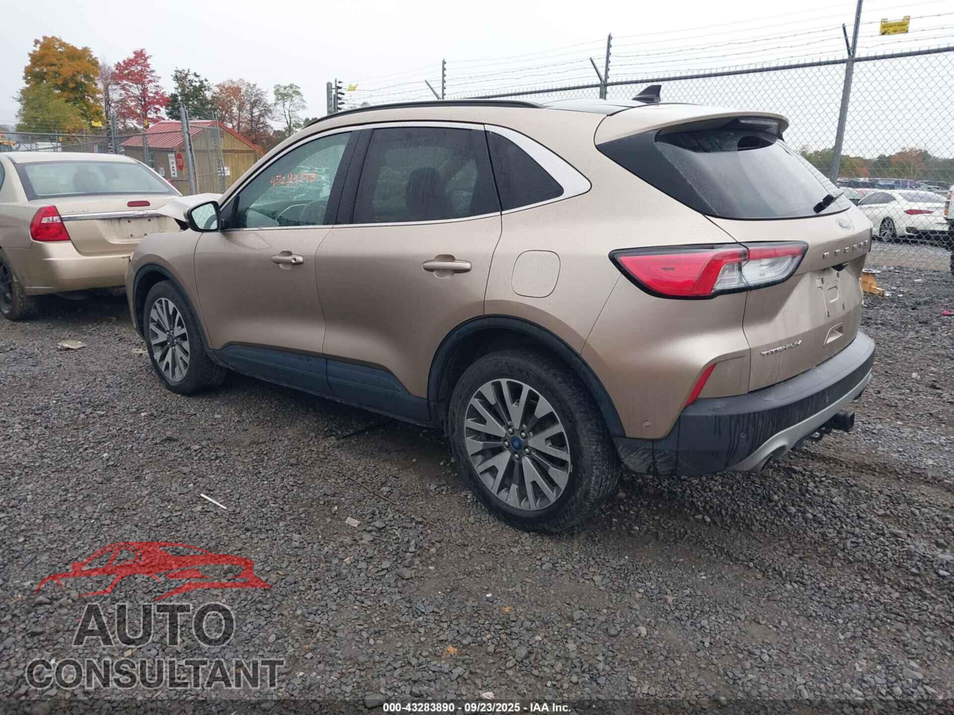 FORD ESCAPE 2020 - 1FMCU9J94LUA59967