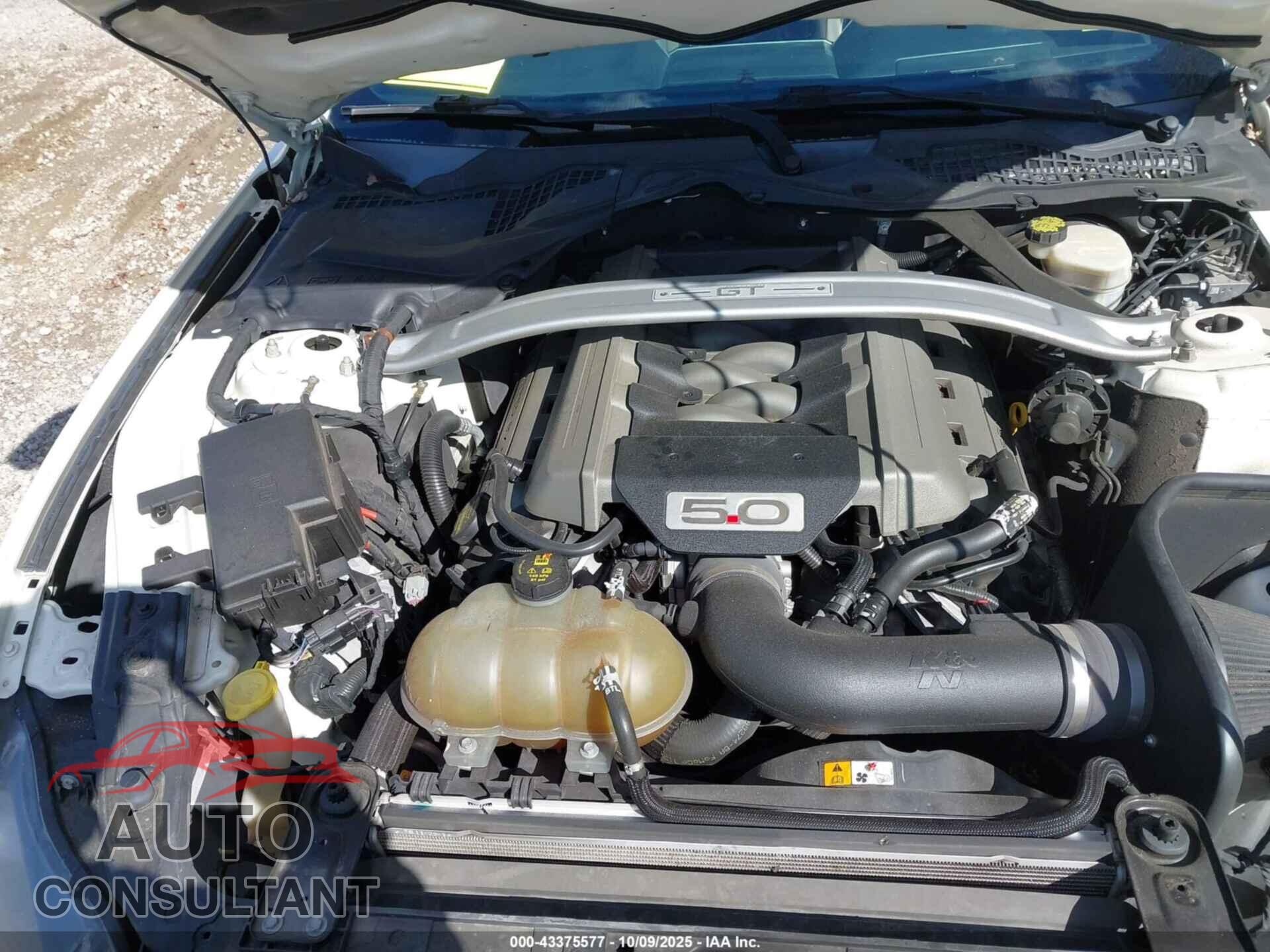 FORD MUSTANG 2015 - 1FA6P8RF7F5501447
