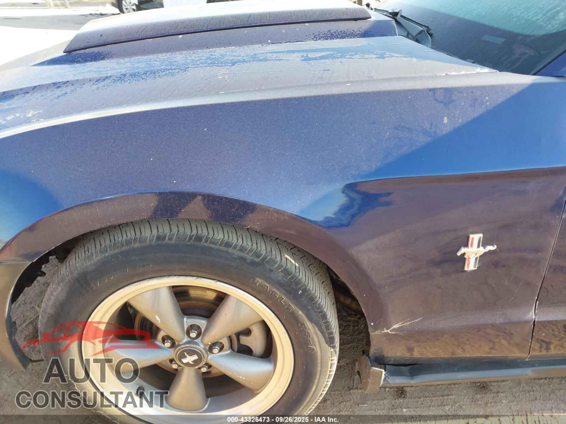 FORD MUSTANG 2010 - 1ZVBP8AN9A5160800