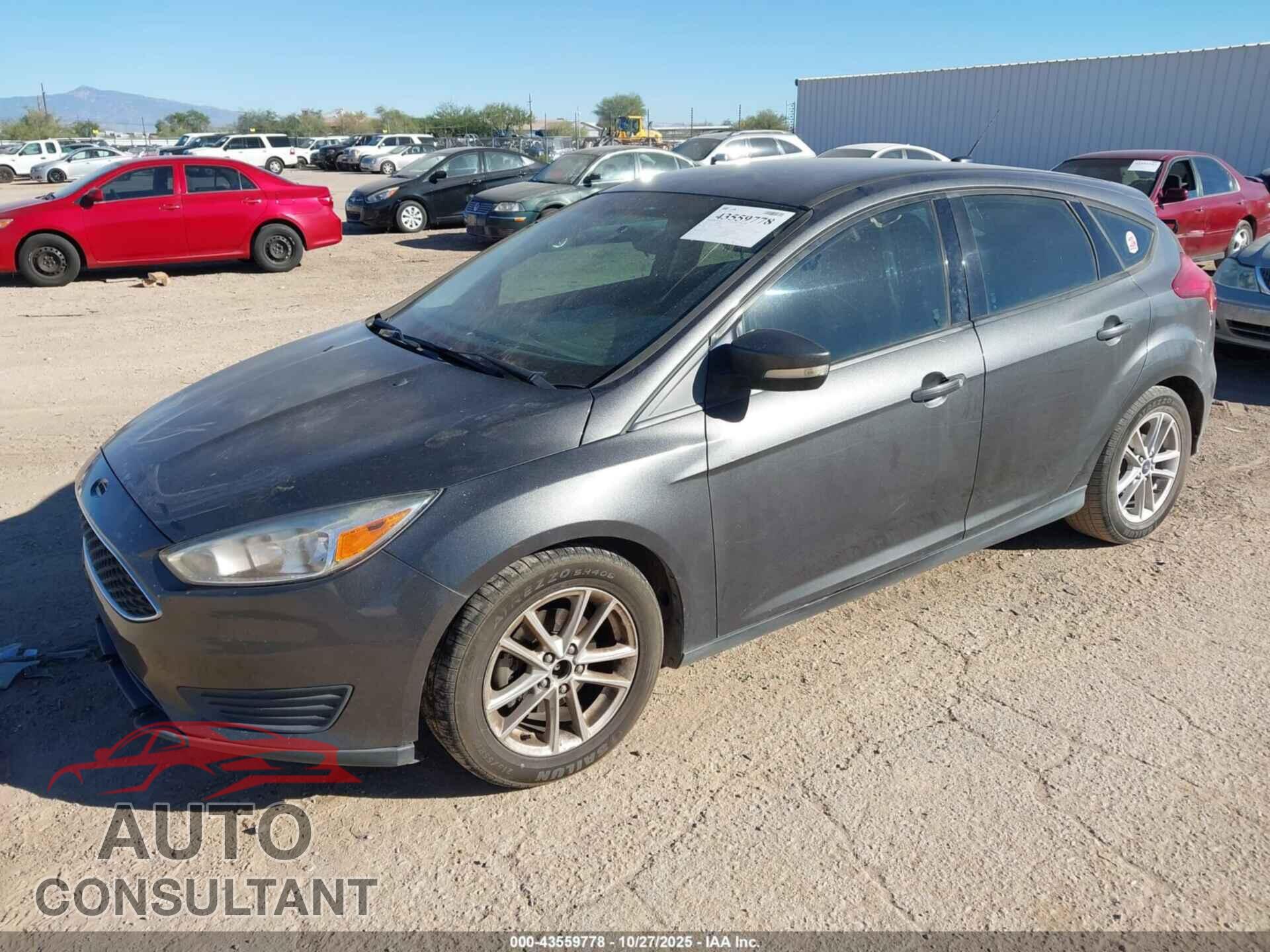 FORD FOCUS 2017 - 1FADP3K25HL295495