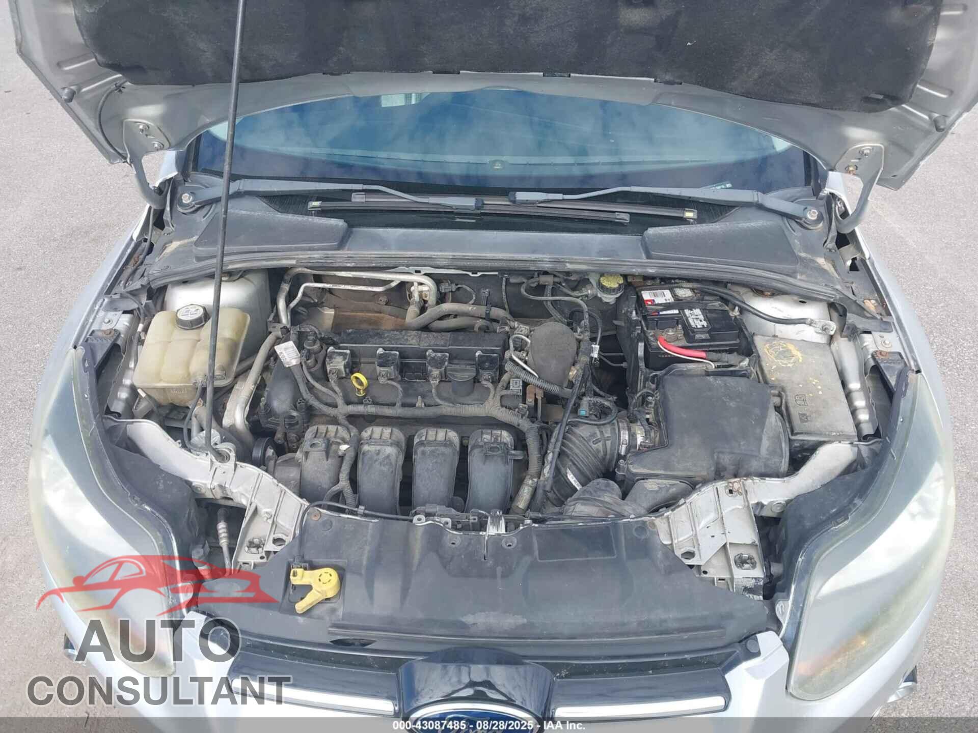 FORD FOCUS 2012 - 1FAHP3N25CL266715