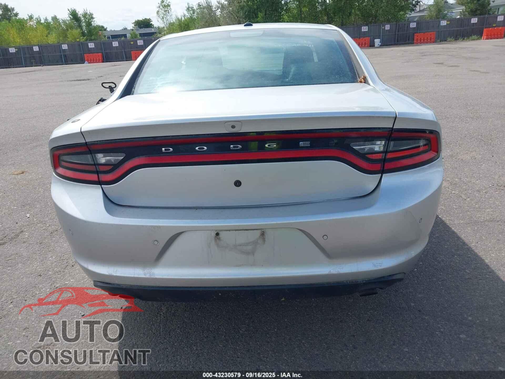DODGE CHARGER 2019 - 2C3CDXKTXKH647915