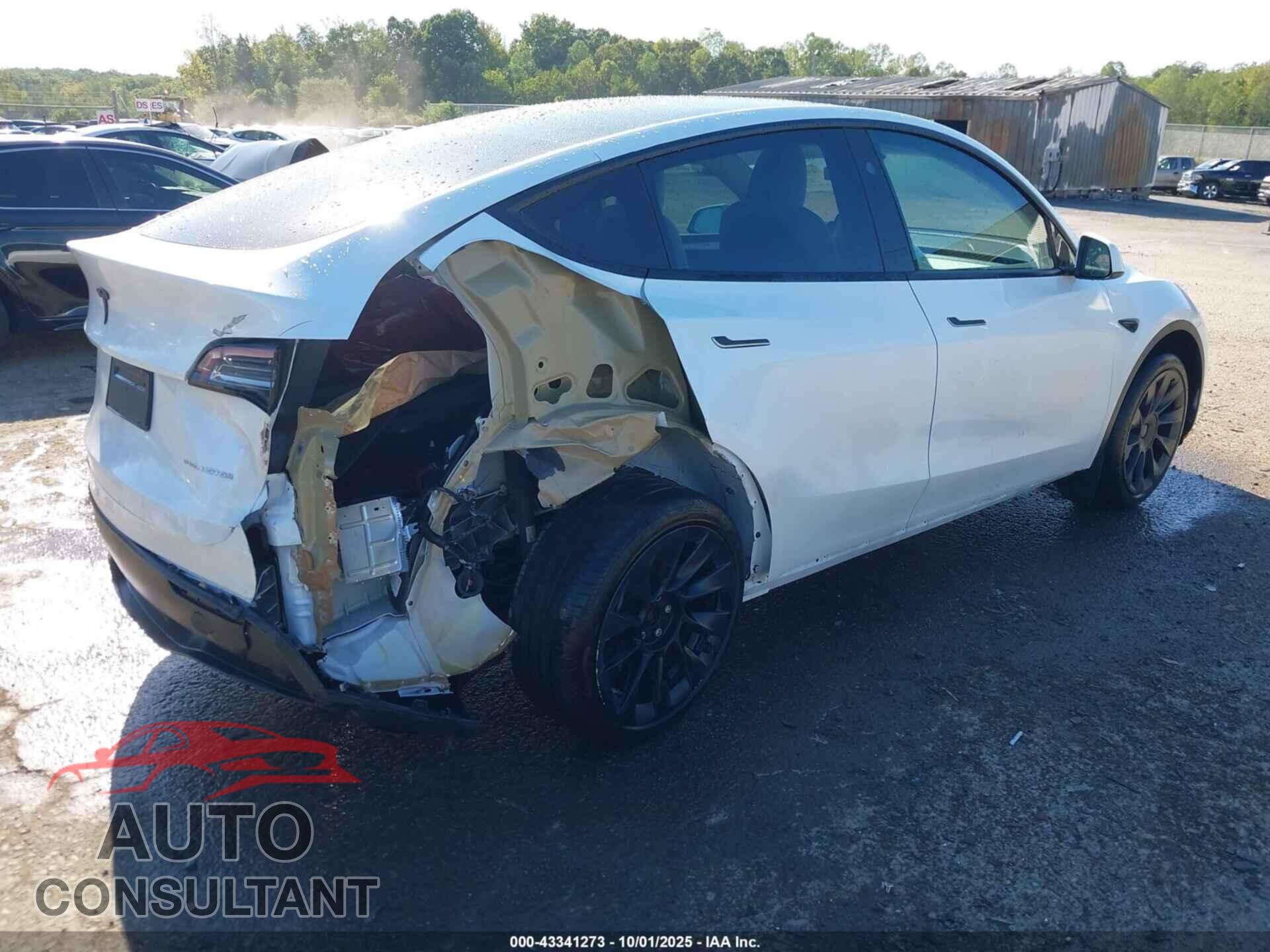 TESLA MODEL Y 2023 - 7SAYGDEE6PF830331