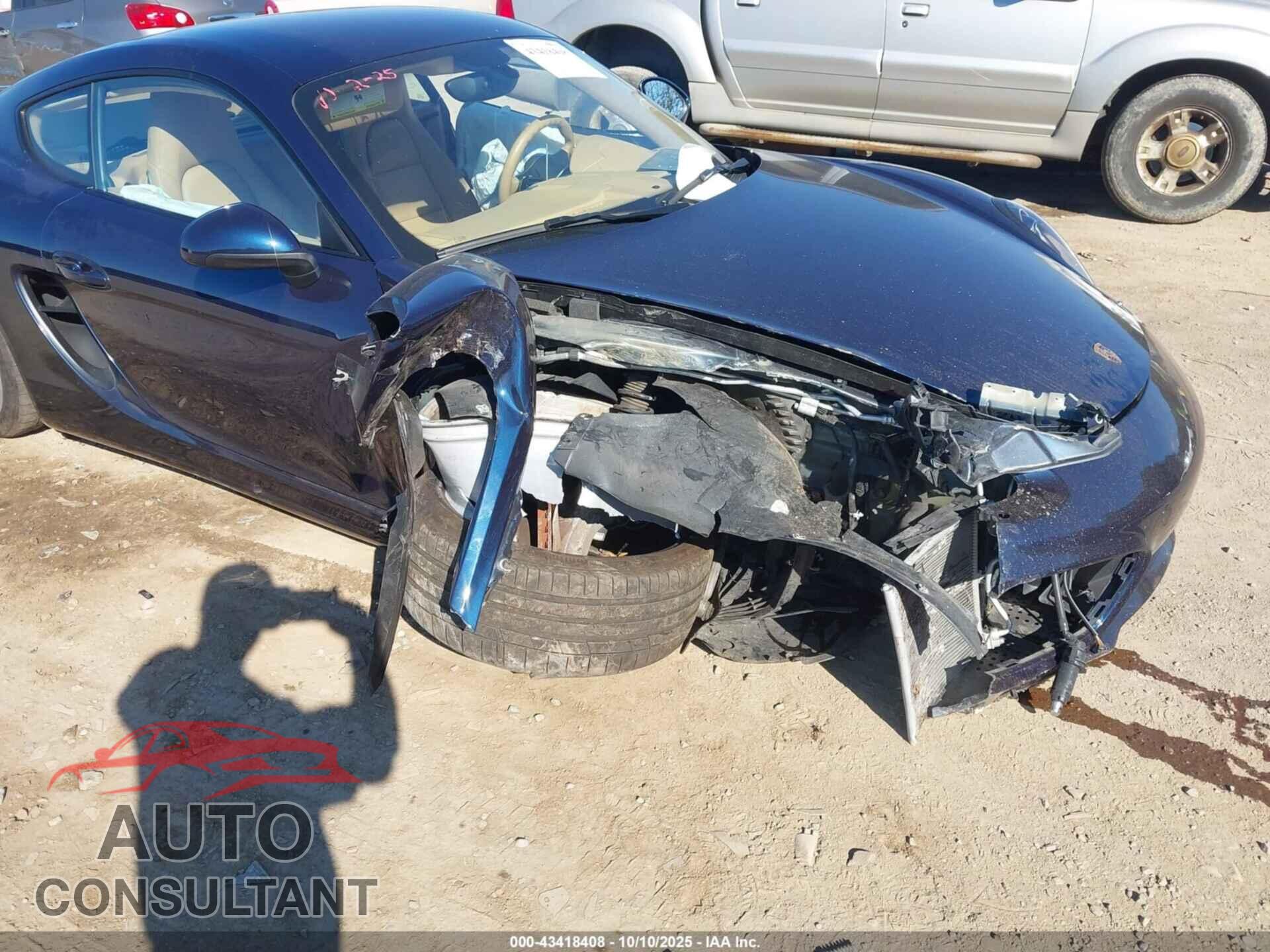 PORSCHE CAYMAN 2014 - WP0AB2A89EK190892