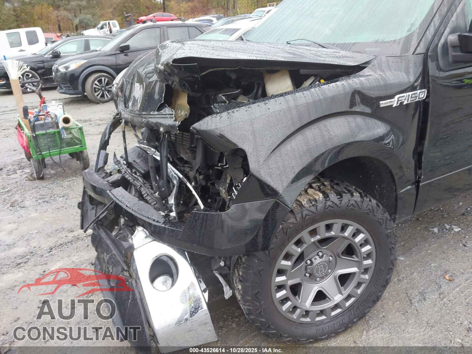 FORD F-150 2014 - 1FTFX1CF1EFA46498