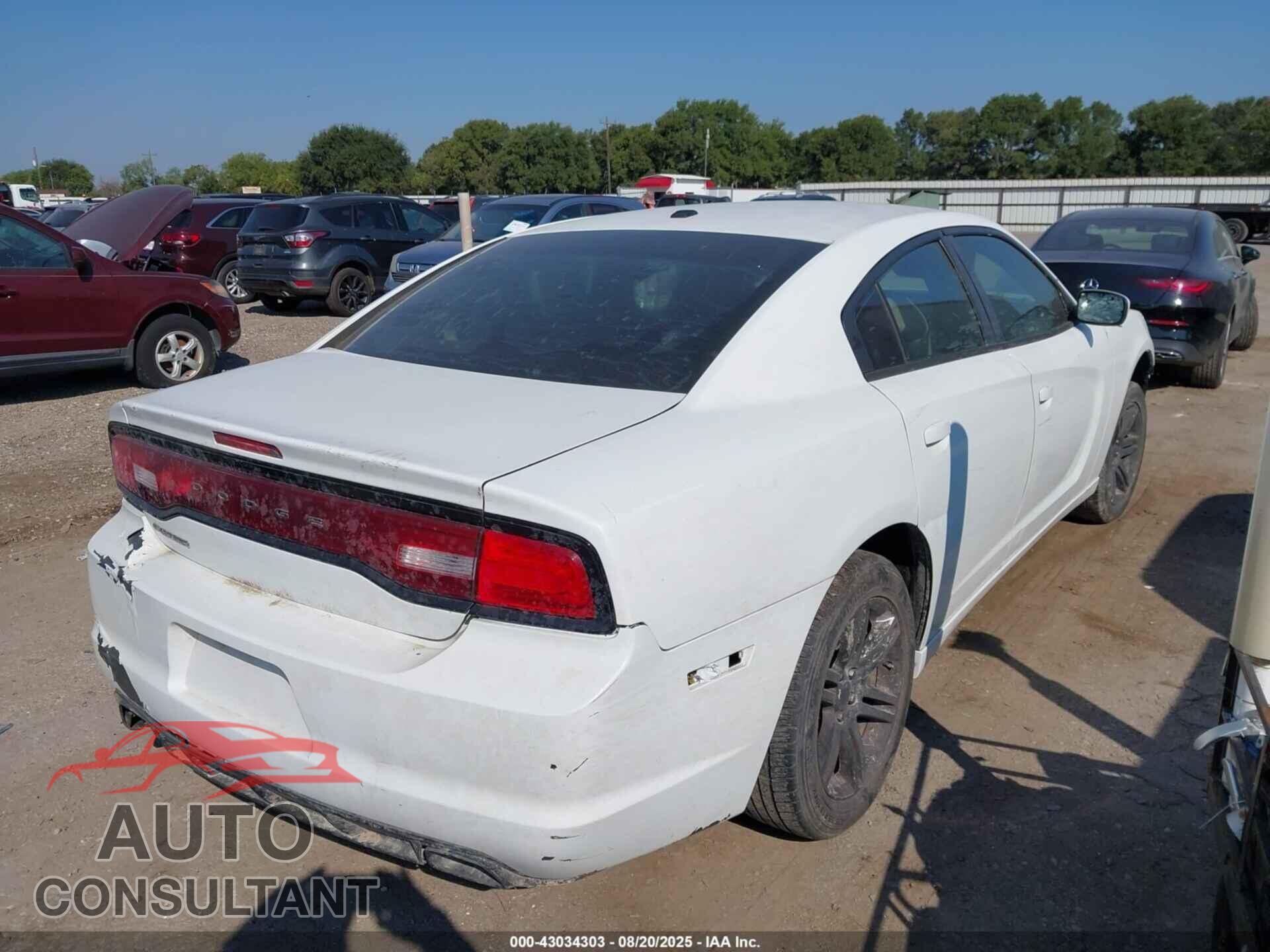 DODGE CHARGER 2011 - 2B3CL3CG7BH566252