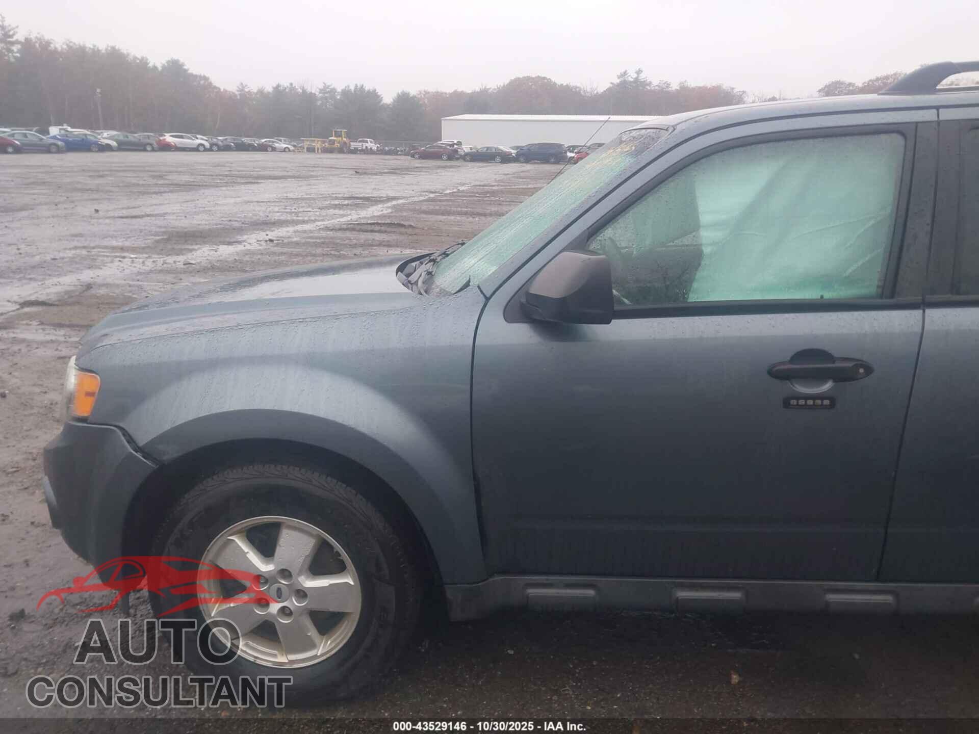 FORD ESCAPE 2010 - 1FMCU0D70AKB75911