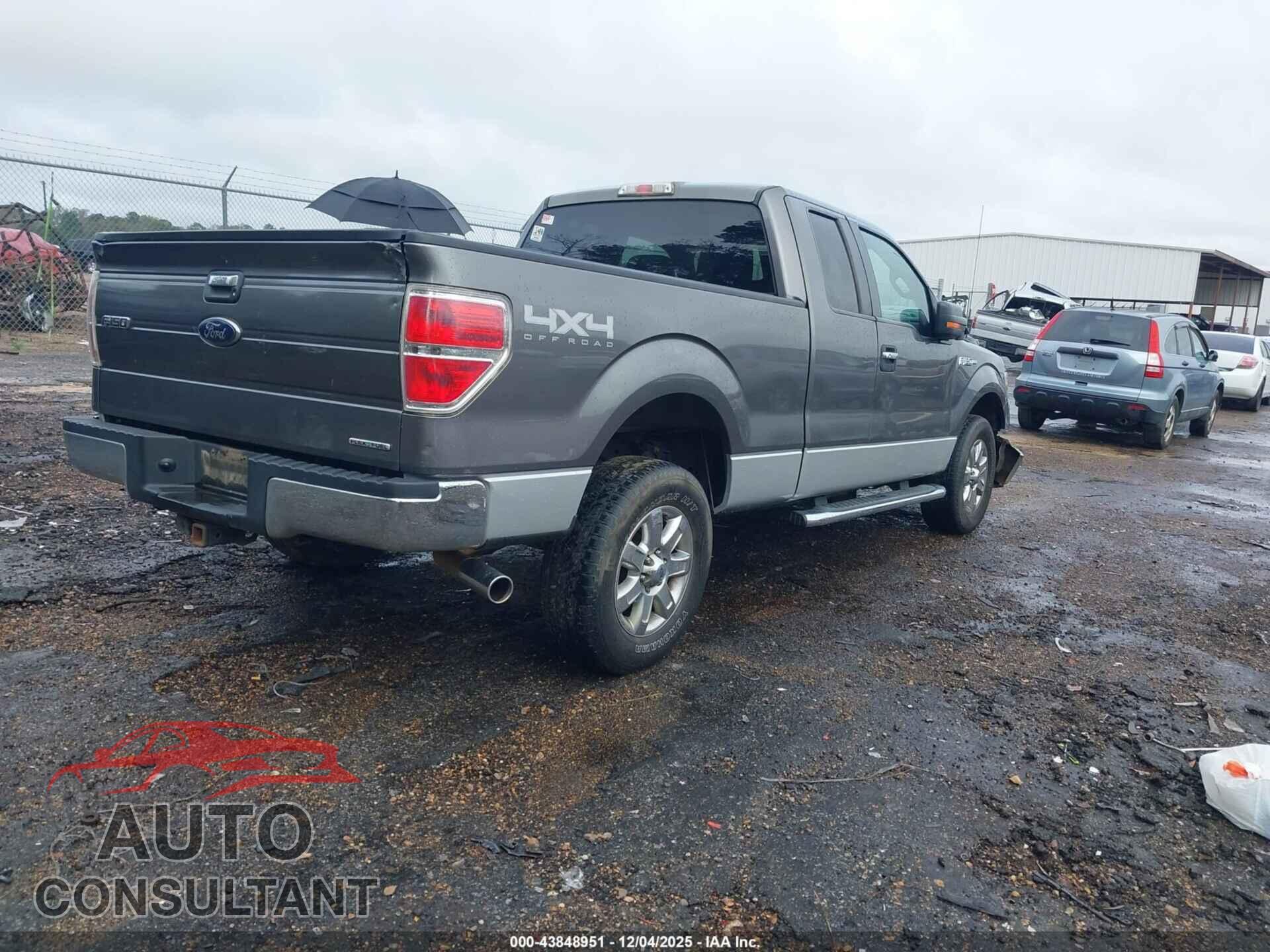 FORD F-150 2013 - 1FTFX1EF5DFA57953