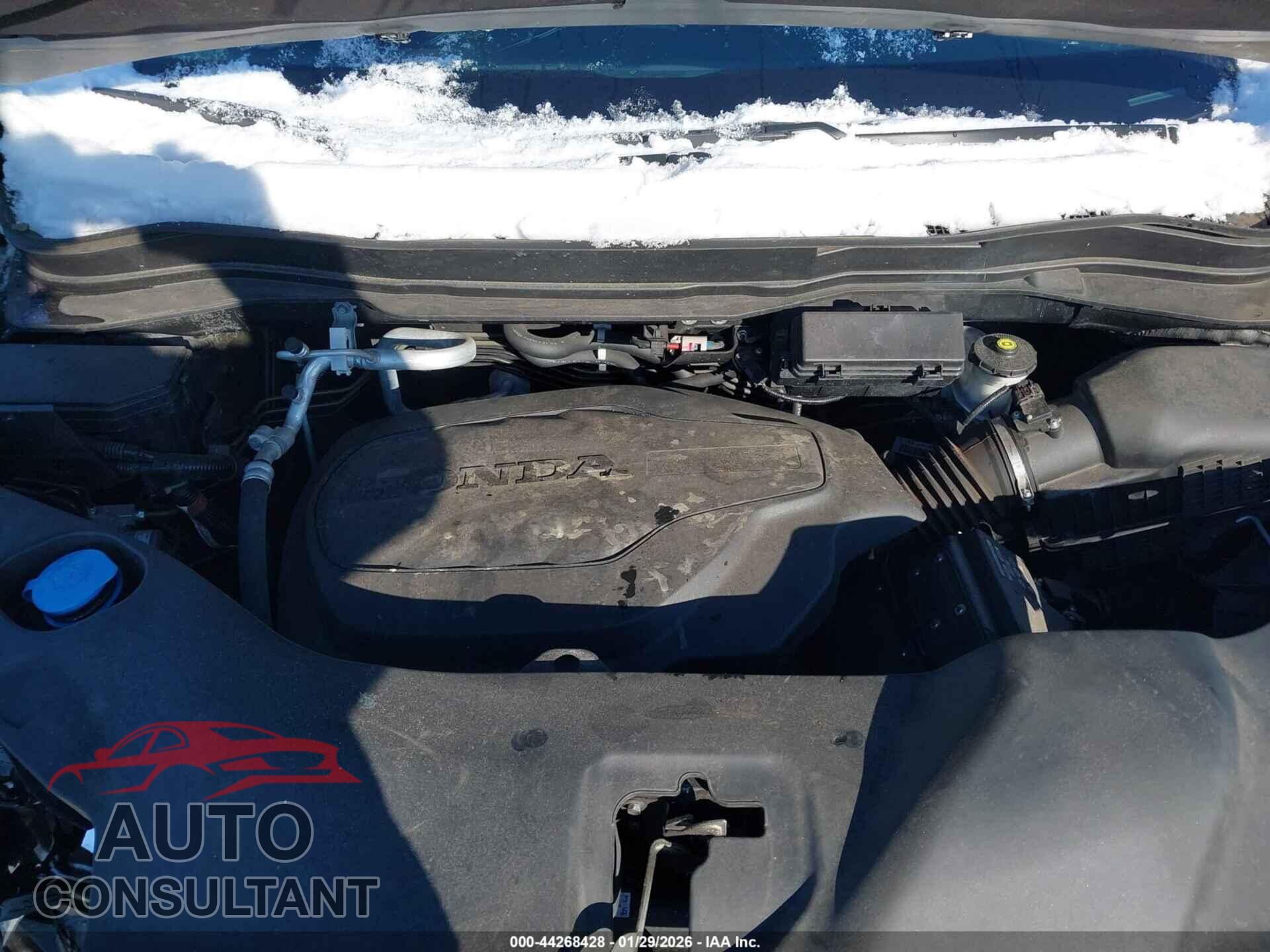 HONDA PILOT 2022 - 5FNYF6H26NB000393