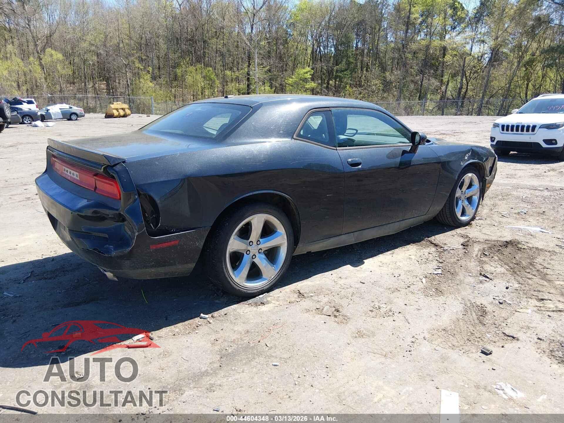 DODGE CHALLENGER 2014 - 2C3CDYAG5EH111999