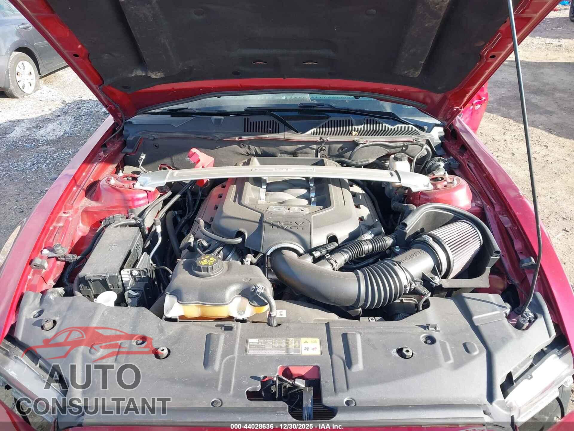 FORD MUSTANG 2014 - 1ZVBP8FF9E5214233