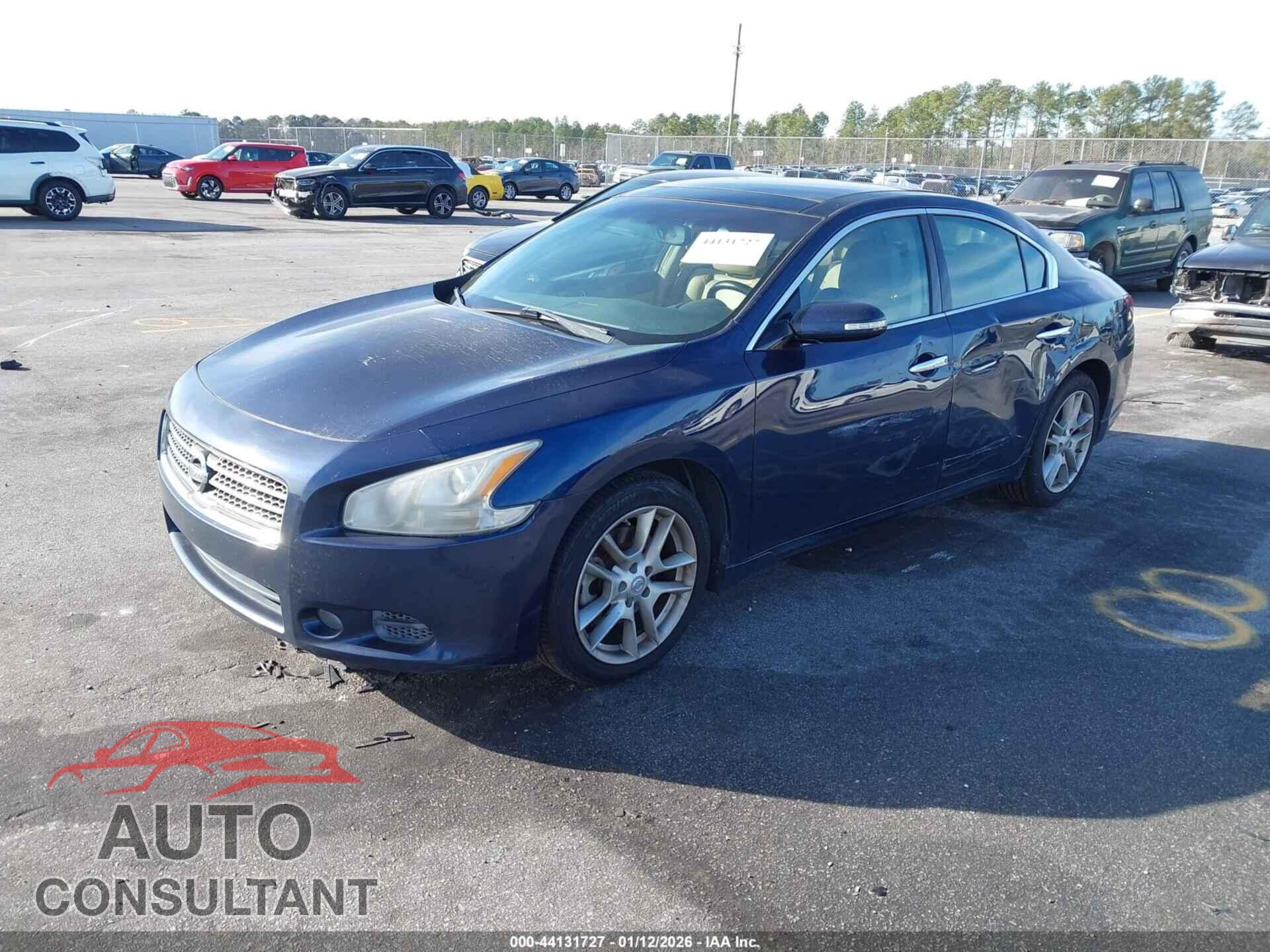 NISSAN MAXIMA 2010 - 1N4AA5AP6AC873221