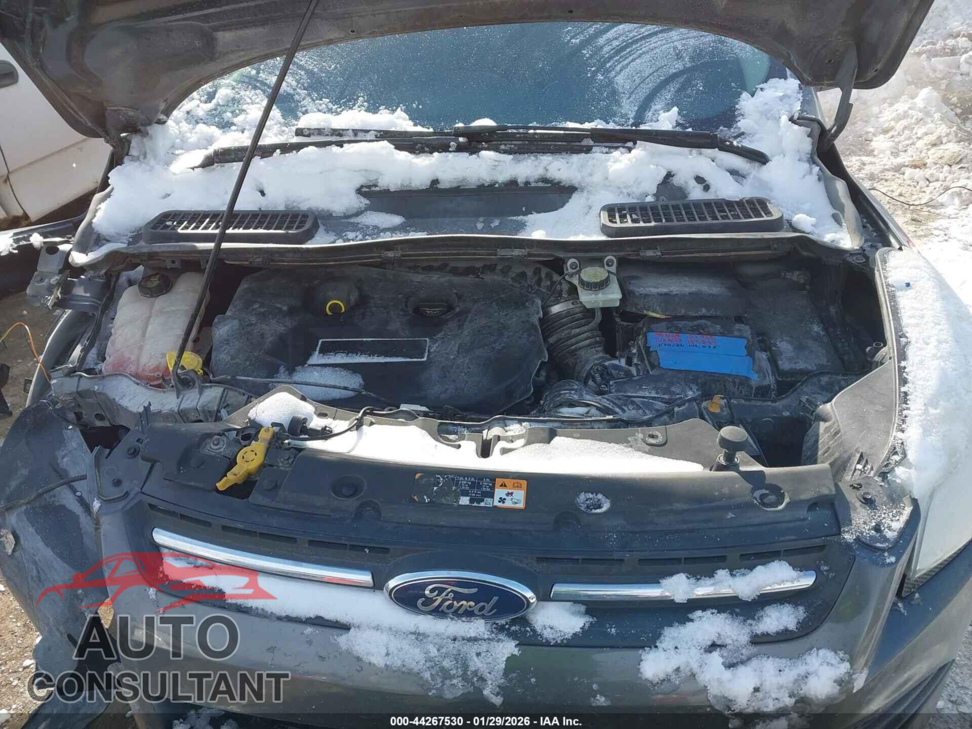 FORD ESCAPE 2015 - 1FMCU0G98FUB32409