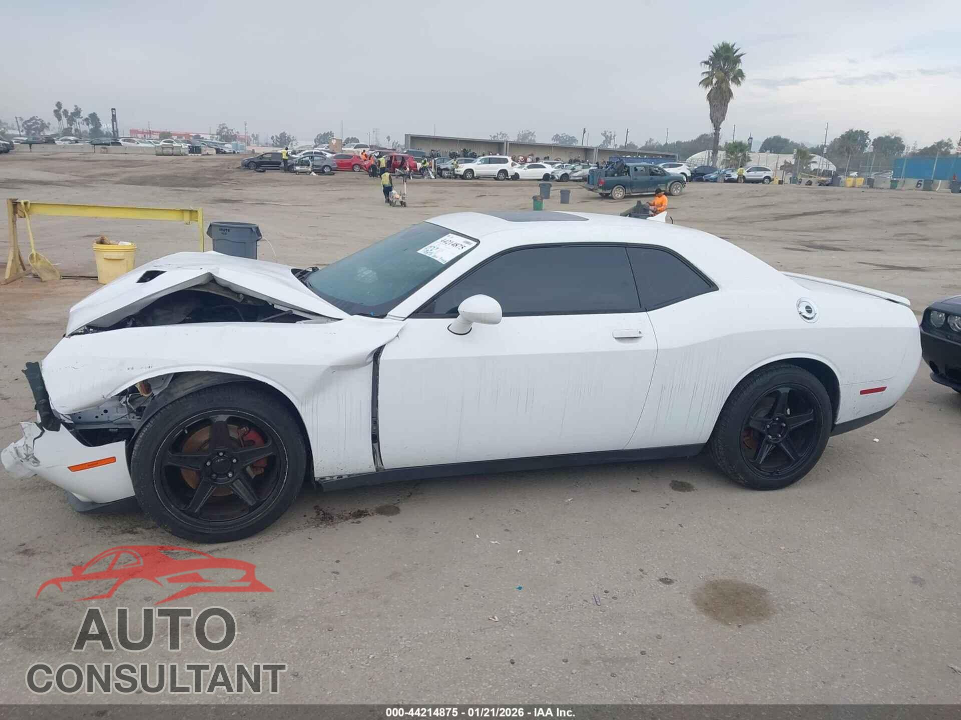 DODGE CHALLENGER 2016 - 2C3CDZAGXGH142903