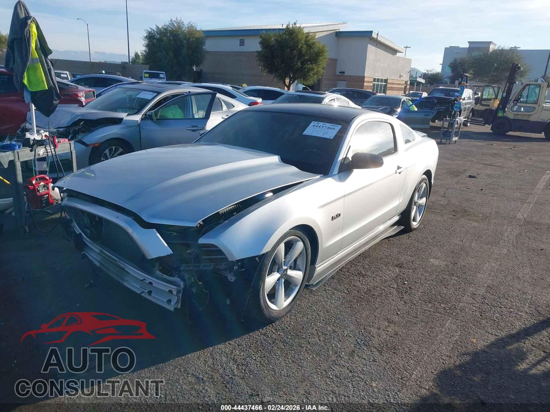 FORD MUSTANG 2014 - 1ZVBP8CF8E5246935
