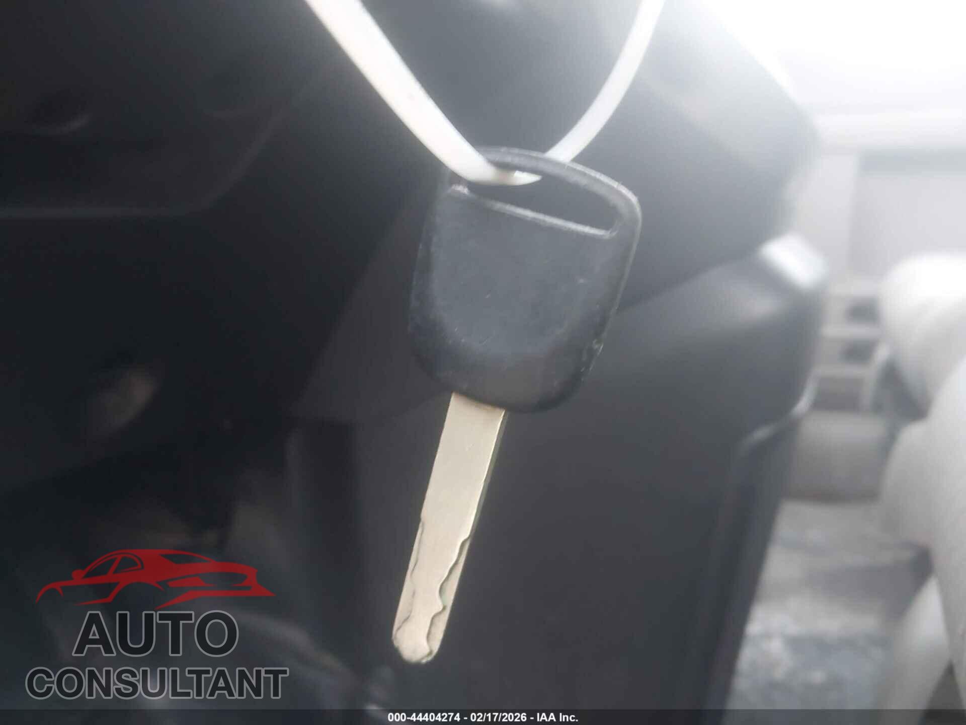 HONDA ELEMENT 2011 - 5J6YH2H77BL001943