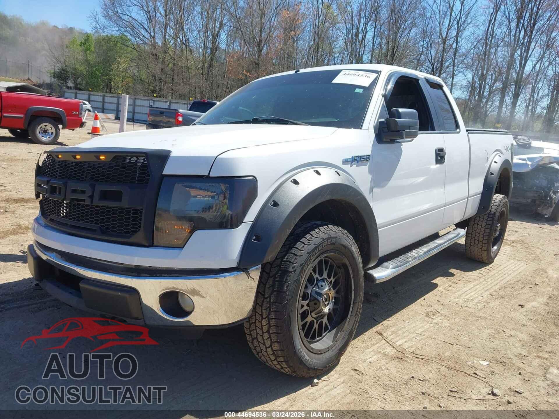 FORD F-150 2011 - 1FTFX1EF6BFB29594
