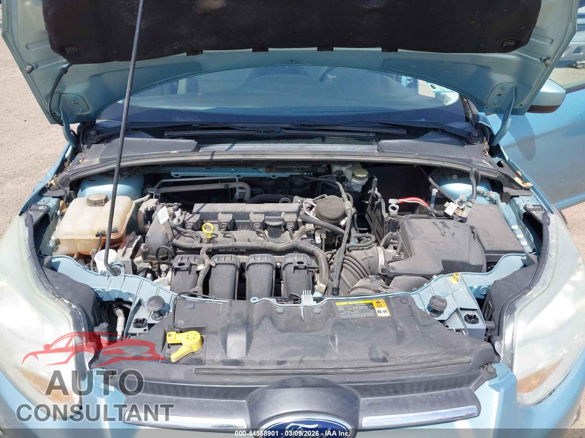 FORD FOCUS 2012 - 1FAHP3F20CL381916