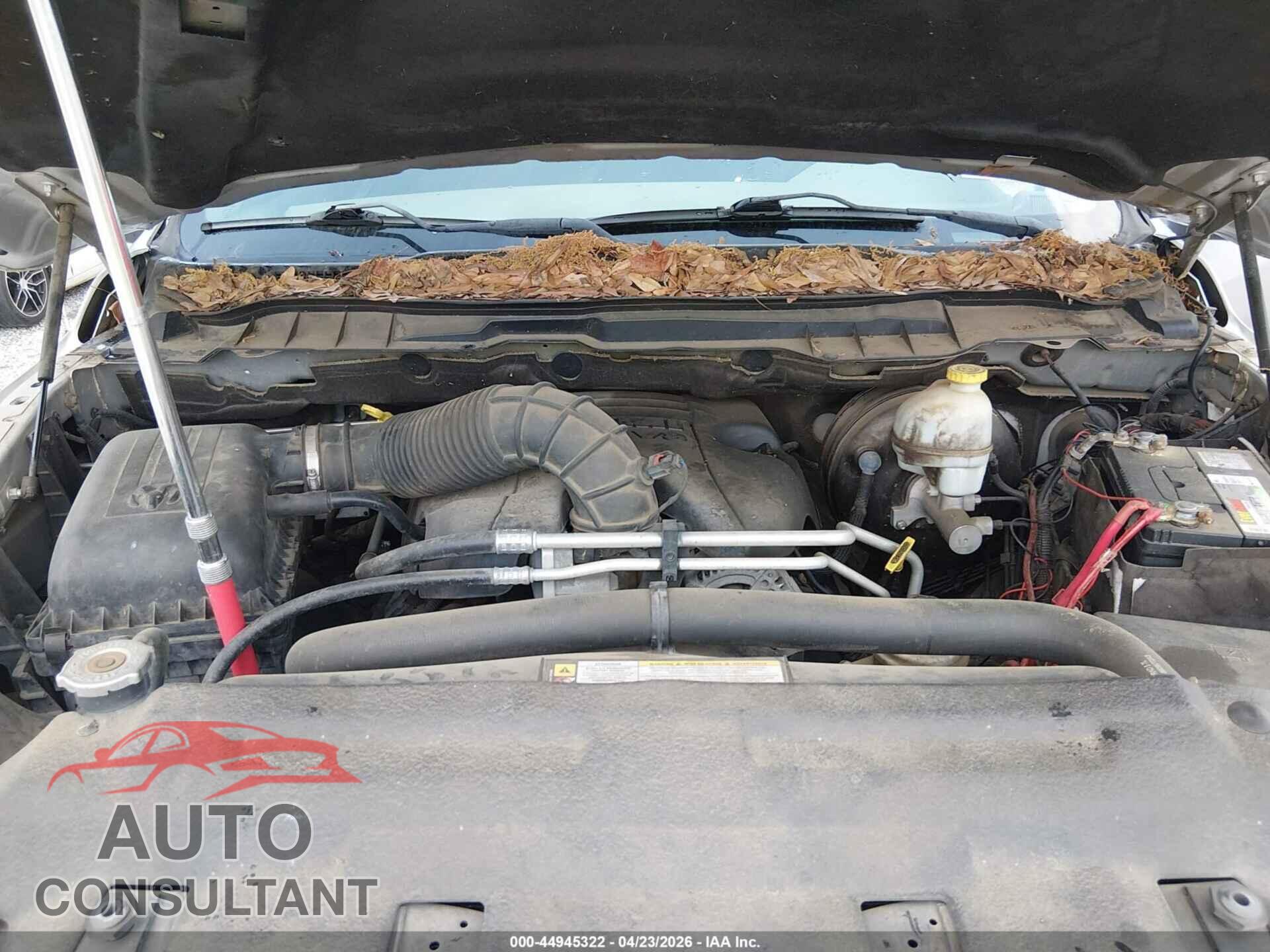 DODGE RAM 1500 2010 - 1D7RV1GT9AS106893